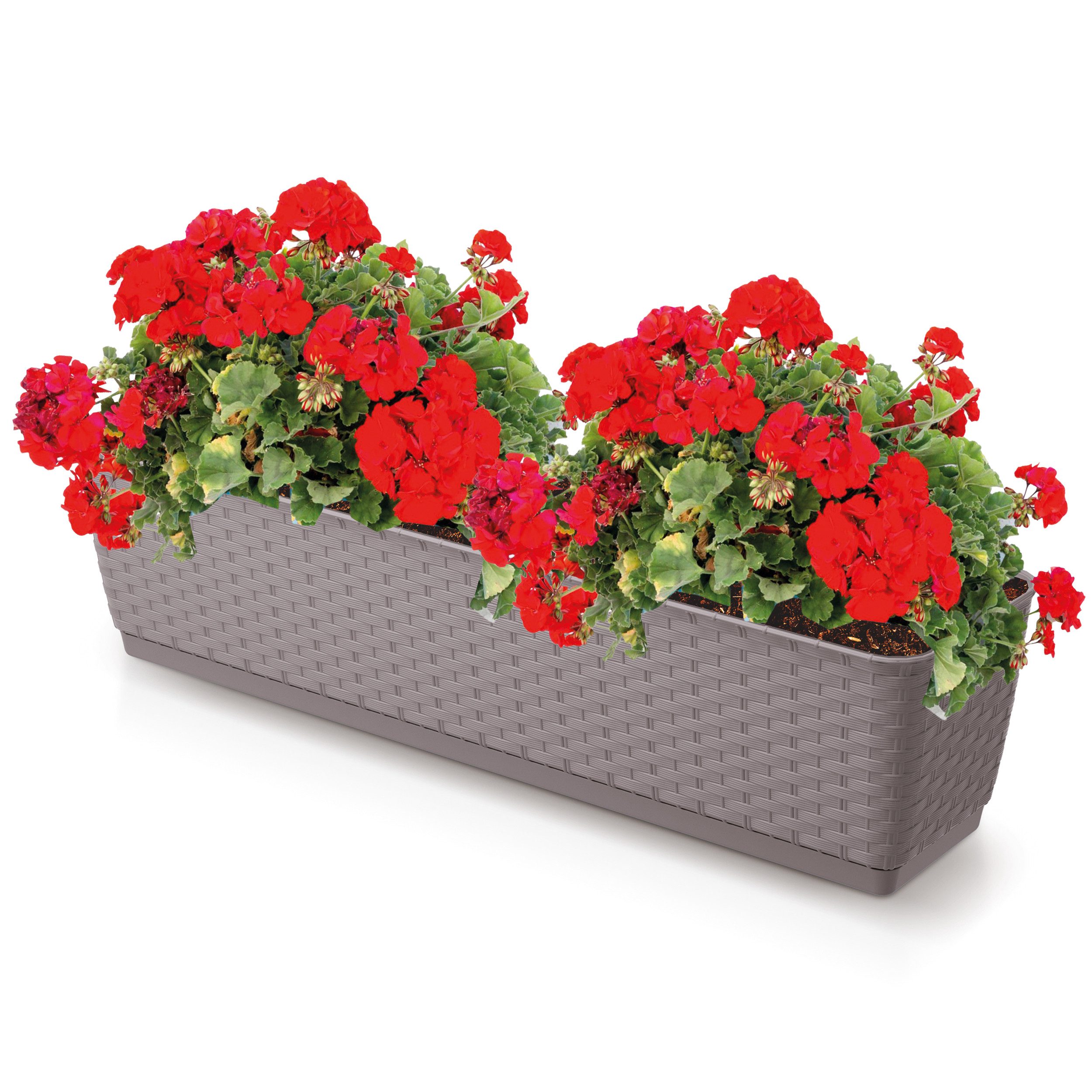 Annastore Blumenkasten Balkonkasten aus wetterfestem Kunststoff - Цветочные ящики - Balkonkästen