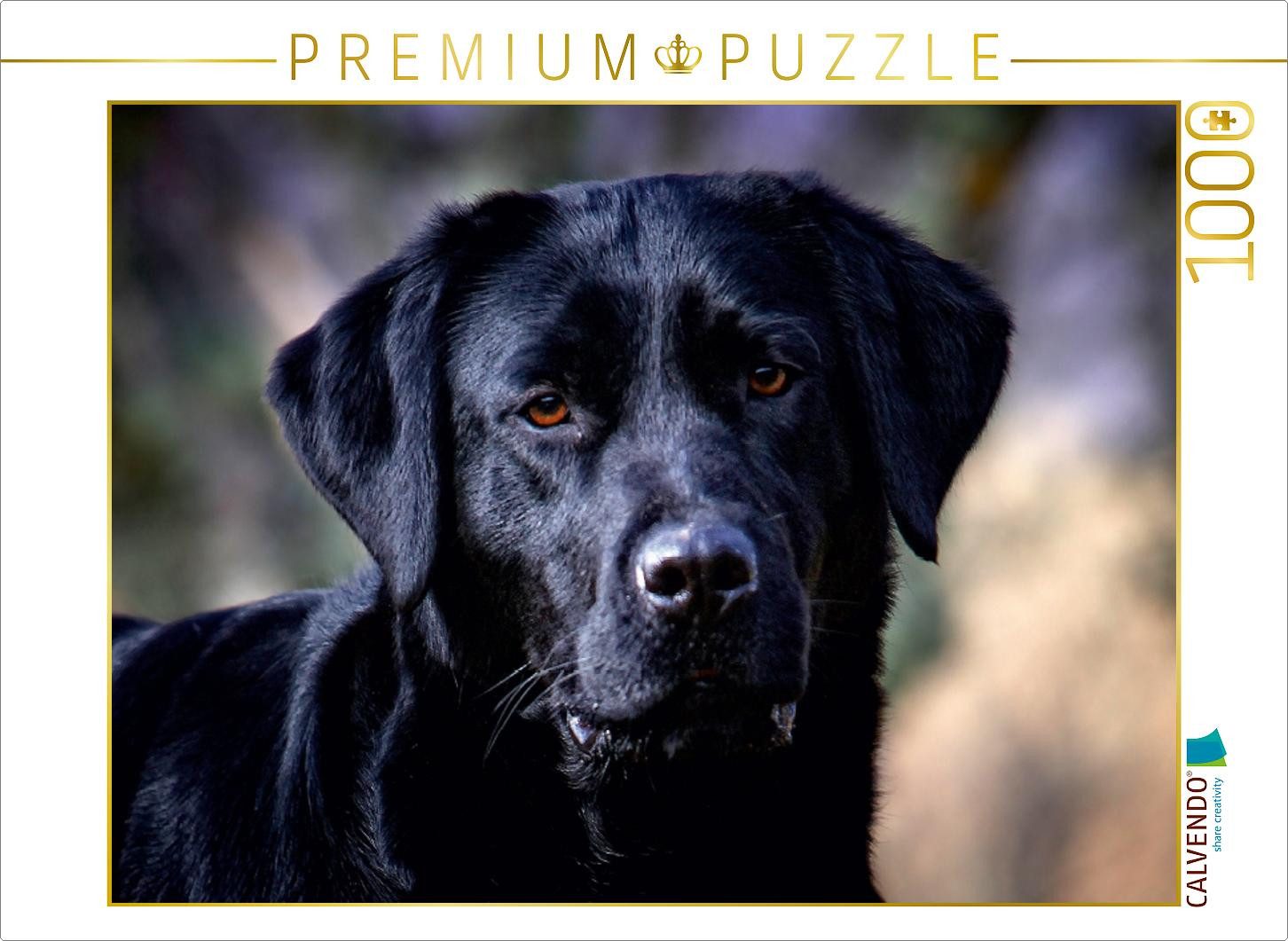 CALVENDO Puzzle CALVENDO Puzzle Labrador Retriever - Treue Begleiter 1000 Teile Puzzle, 1000 Puzzleteile