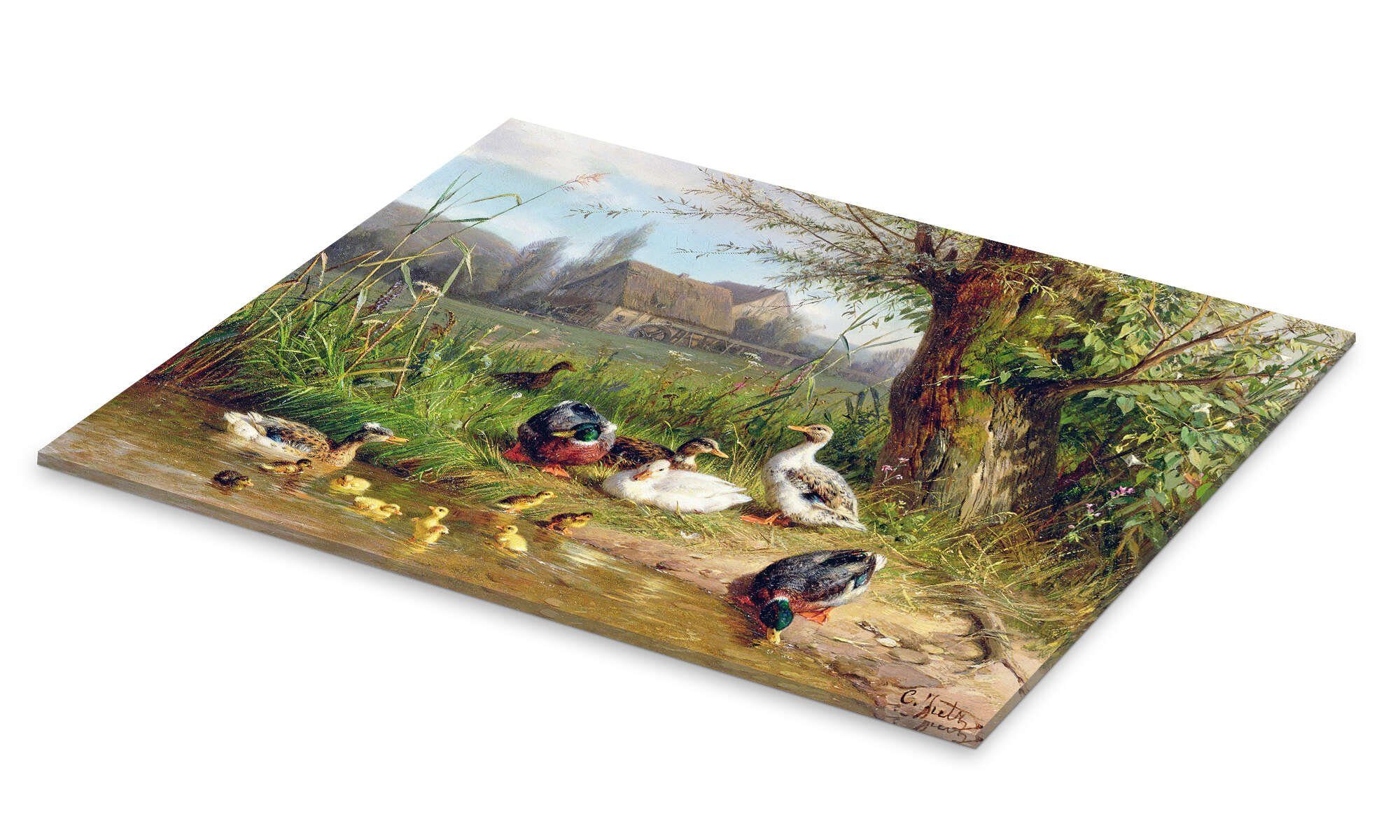 Posterlounge Wandbild Mallard Enten mit ihren Entenküken, Carl Jutz, erhältlich als Poster, Leinwandbild, Wandsticker oder Acrylglasbild