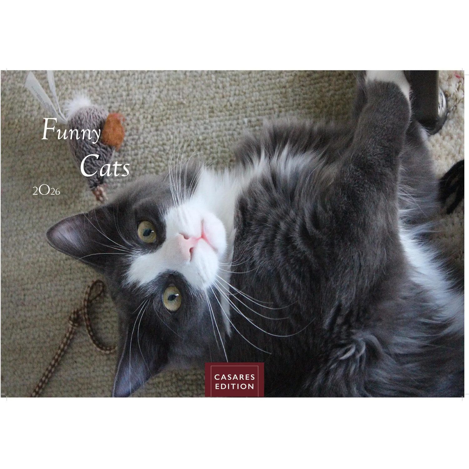 Wandkalender Funny Cats Kalender 2026 - Wandkalender, Fotokalender Tierkalender...