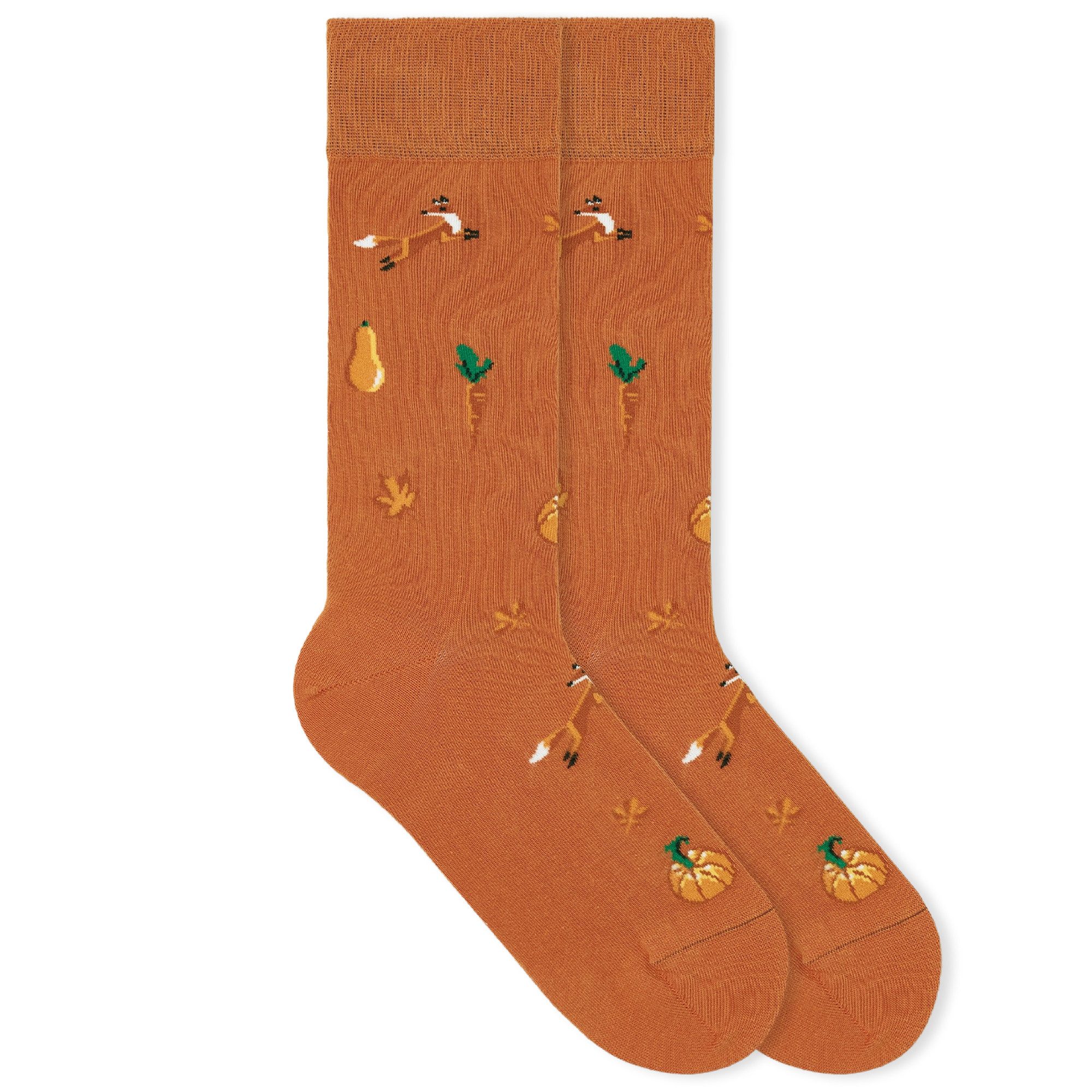Socken Herbst ICONS Bio-Baumwolle 35-46 Unisex