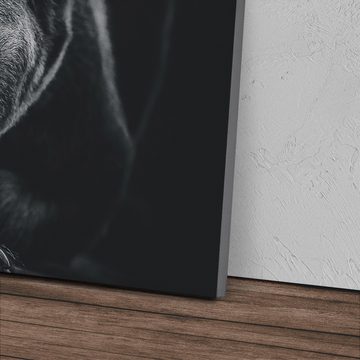 Sinus Art Leinwandbild 120x80cm Wandbild auf Leinwand Bär Braunbär Schwarz Tierfotografie Kun, (1 St)