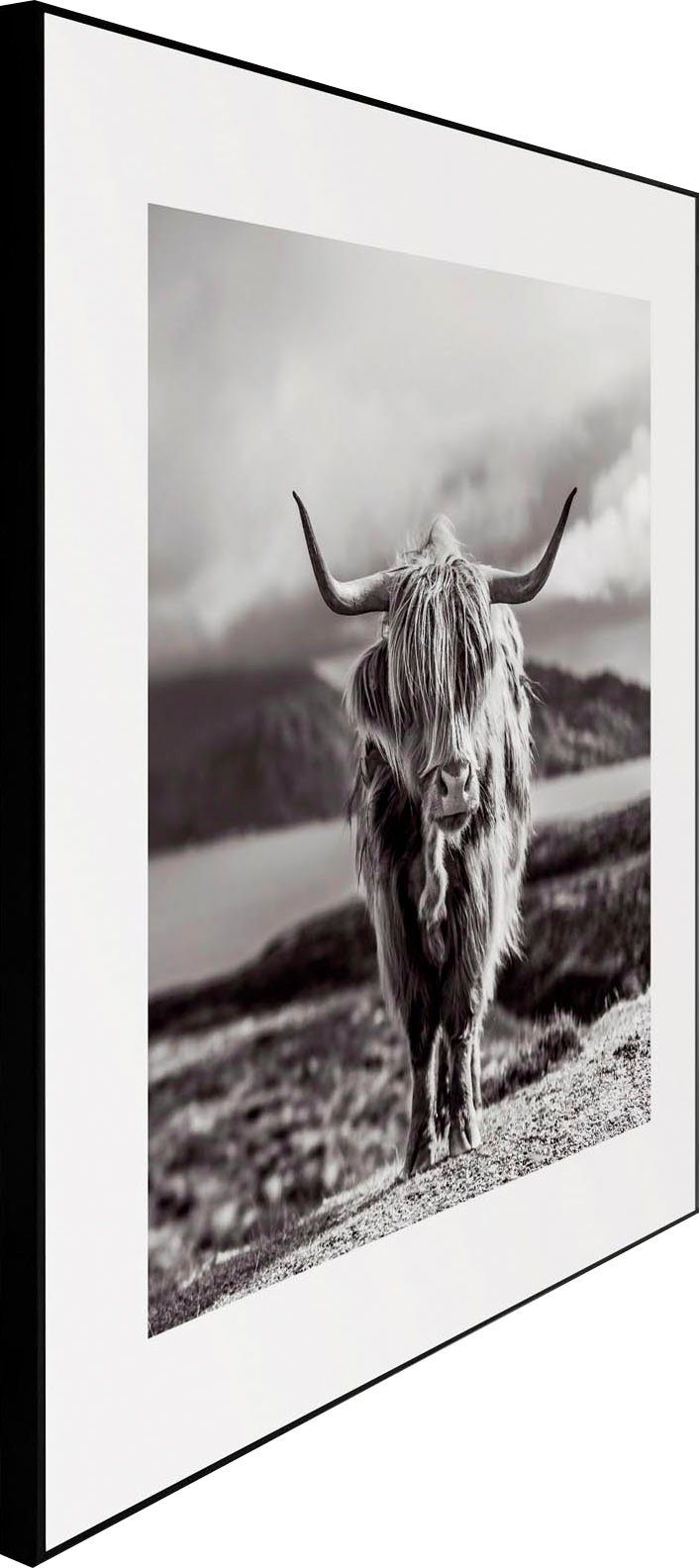 50x50 Highland Slim Frame Reinders! Wandbild Cow Black