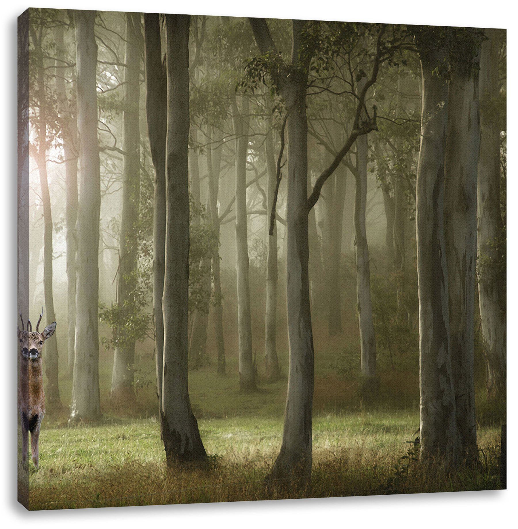 Pixxprint Leinwandbild Hirsch fertig Wald Wald, (1 St), bespannt, Hirsch Leinwandbild im inkl. im Zackenaufhänger