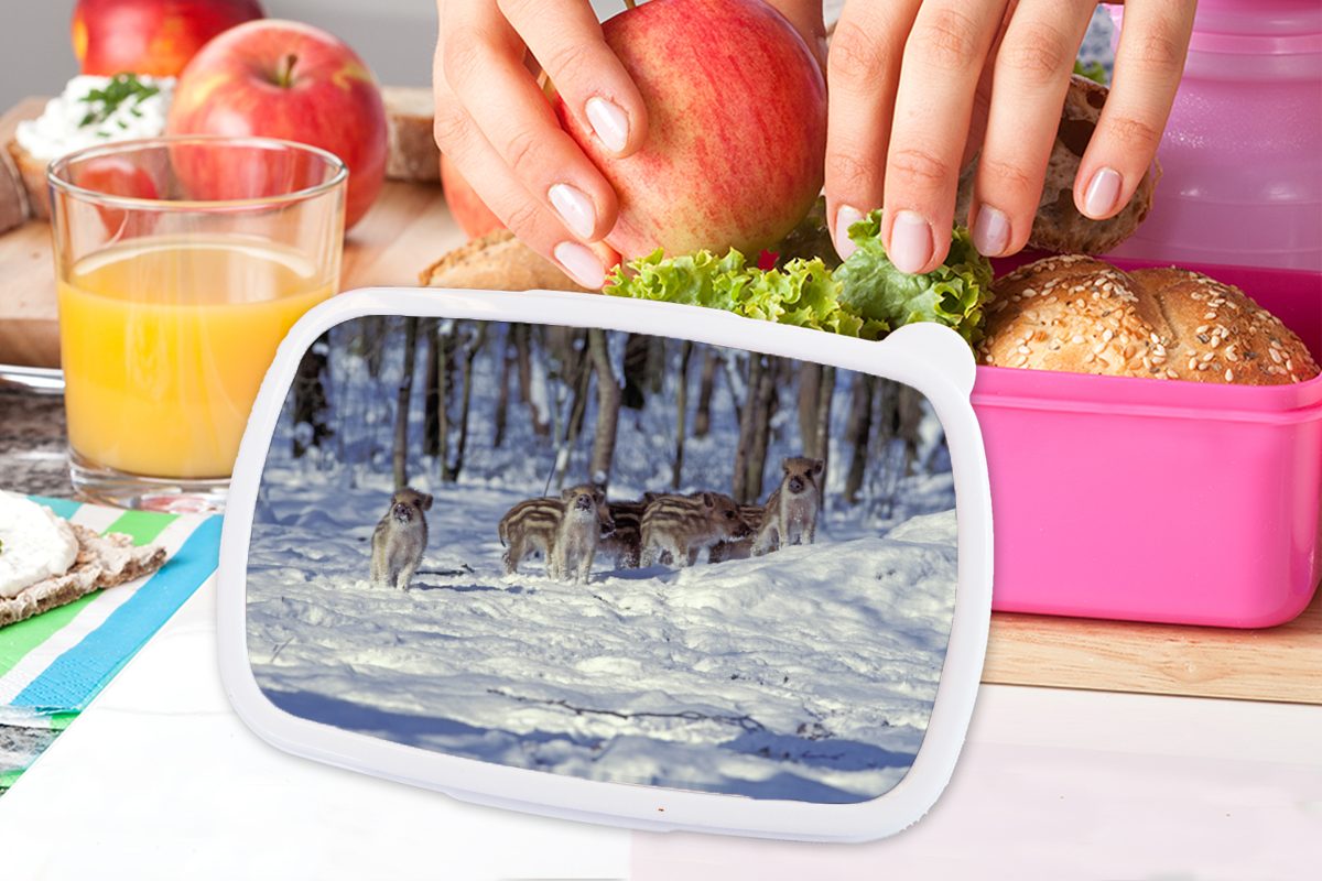 Kunststoff Brotdose Winter für - (2-tlg), Mädchen, MuchoWow Lunchbox Brotbox Kinder, Erwachsene, - Groß, Kunststoff, Schwein rosa Snackbox,