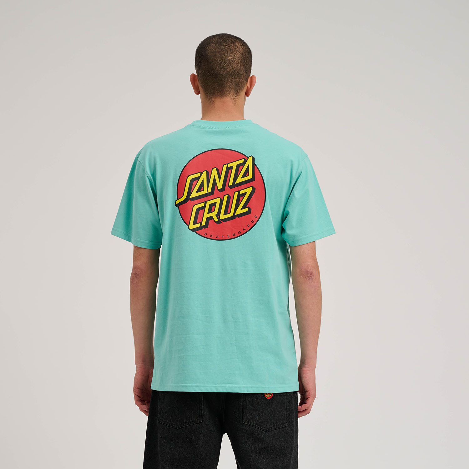 Santa Cruz T-Shirt DILLON SHORTS (1-tlg) günstig online kaufen