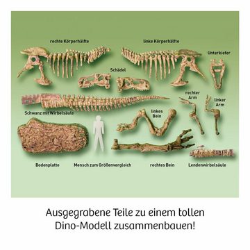 Kosmos Kreativset T-Rex 3D