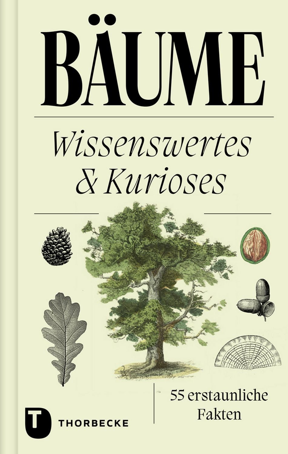 Bäume / diverse