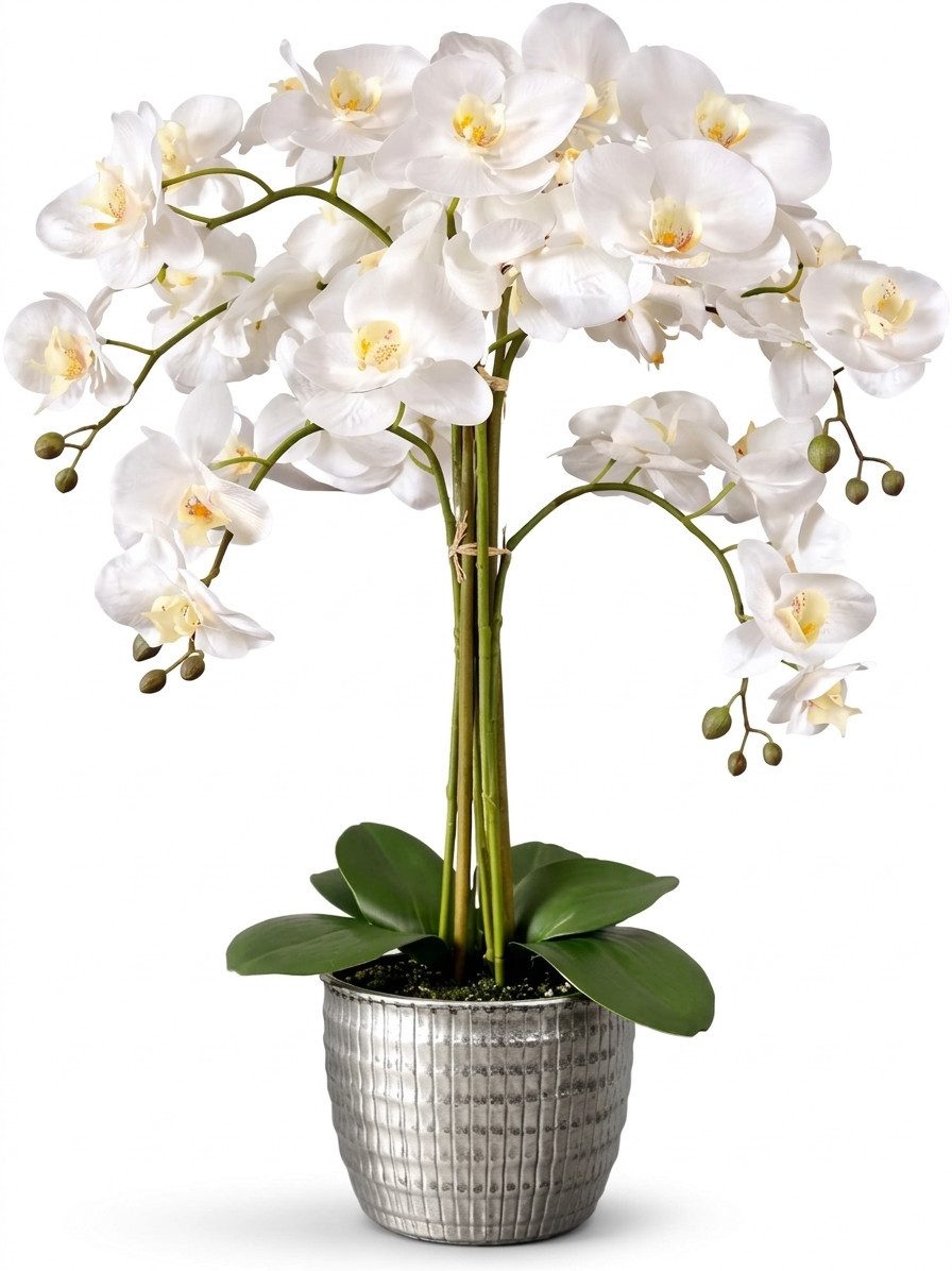 Kunstblume Kunstblume Orchidee, weiße Real Touch Blüten in Keramiktopf, ca. 53cm Orchidee Phalaenopsis, Dahlia Studios