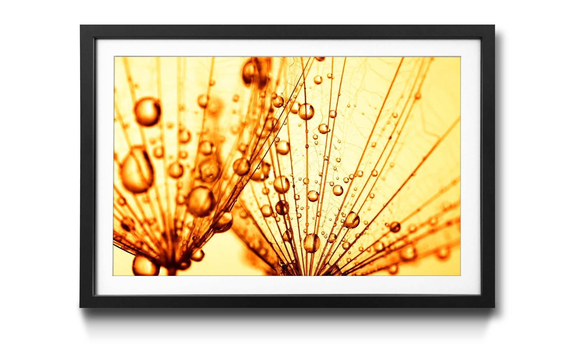 WandbilderXXL Bild mit Rahmen Dandelion Seed, Blumen, Wandbild, in 4 Größen erhältlich