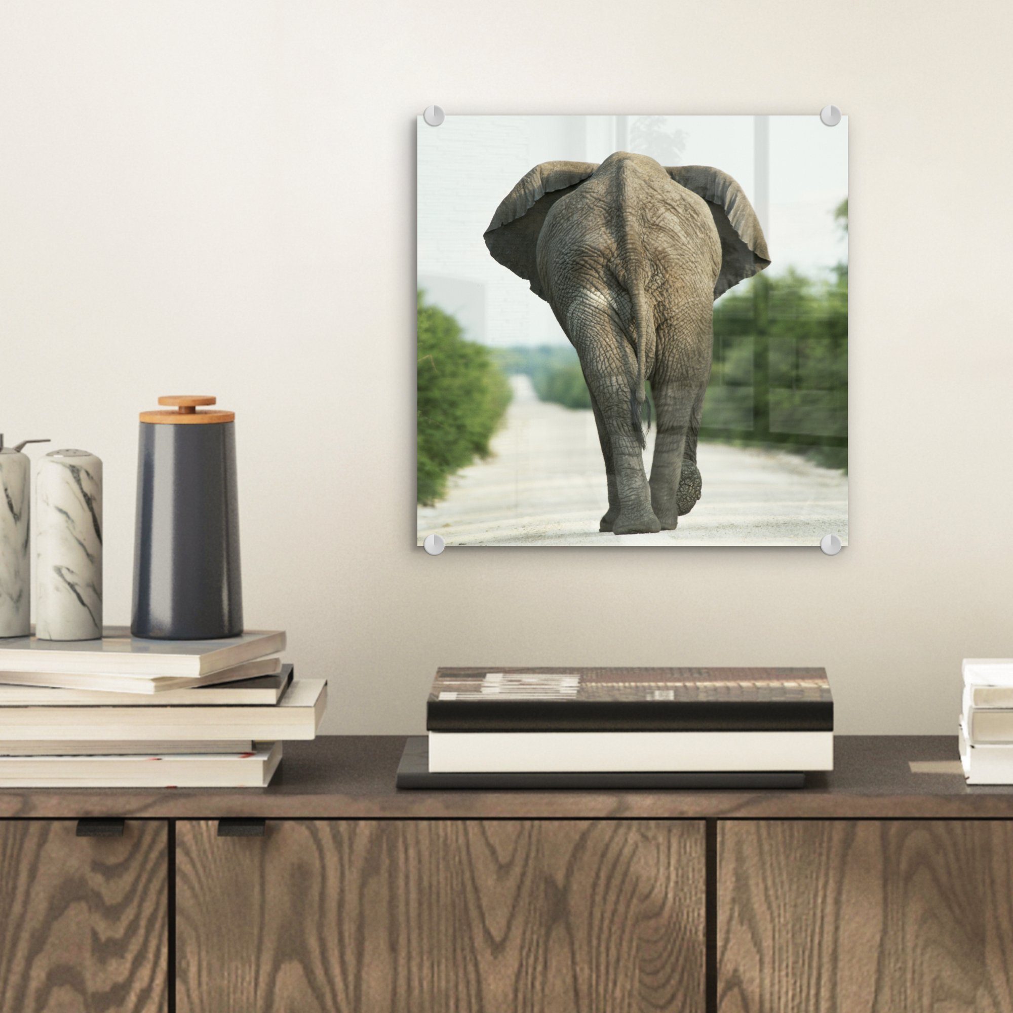 MuchoWow Acrylglasbild - auf - Natur, Glas - - Glas - Bilder Wanddekoration Foto - auf Elefant Kröte Tiere (1 Wandbild Glasbilder St)