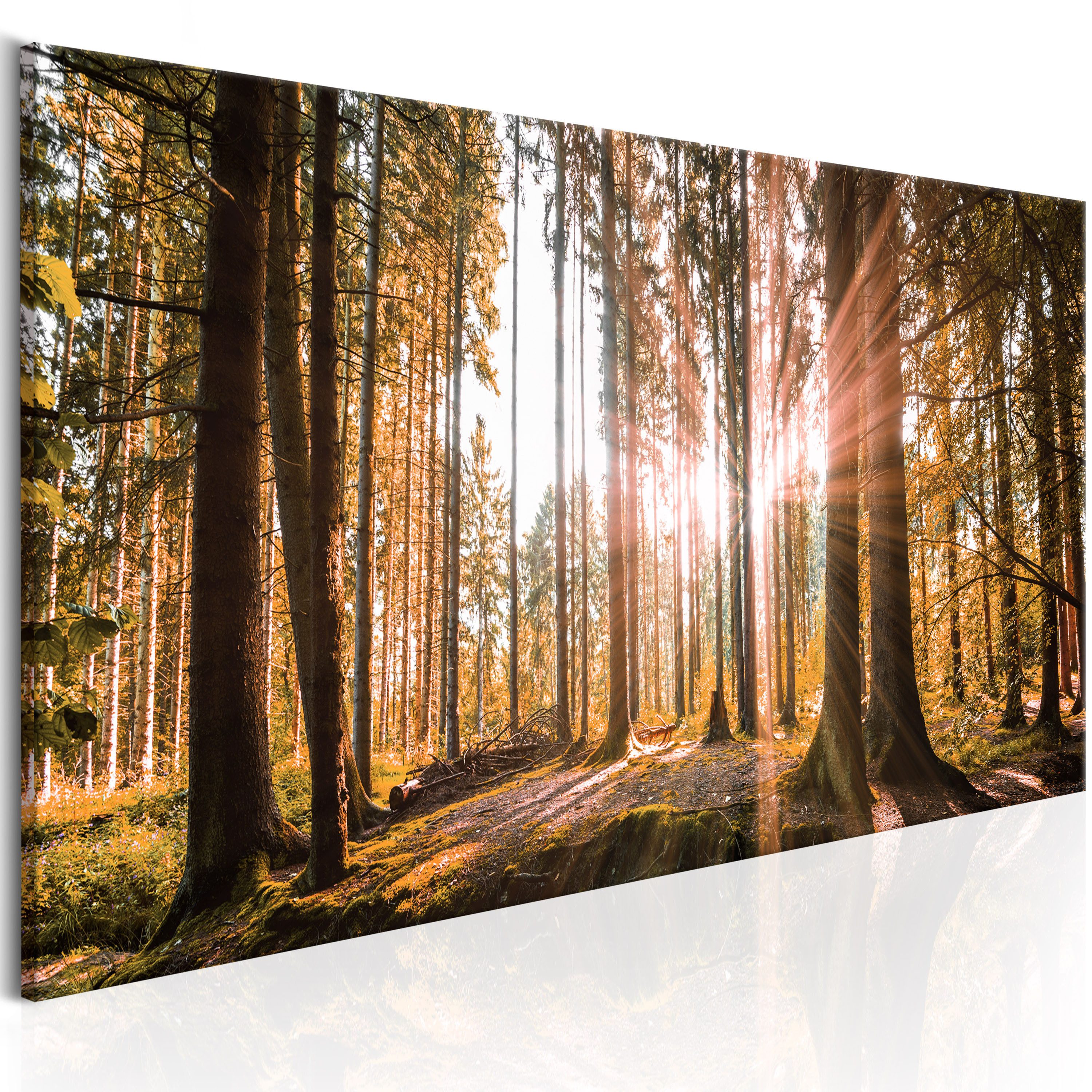 Artgeist Wandbild Wald am Morgen