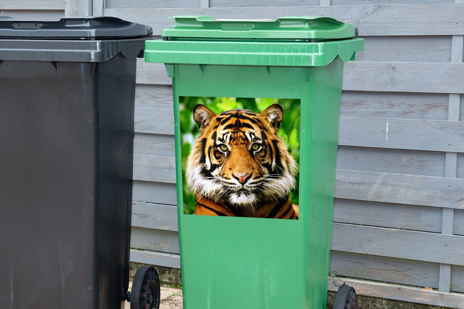 Sticker, Mülleimer-aufkleber, Wandsticker St), - Kopf Tiger Container, (1 - MuchoWow Abfalbehälter Mülltonne, Wald