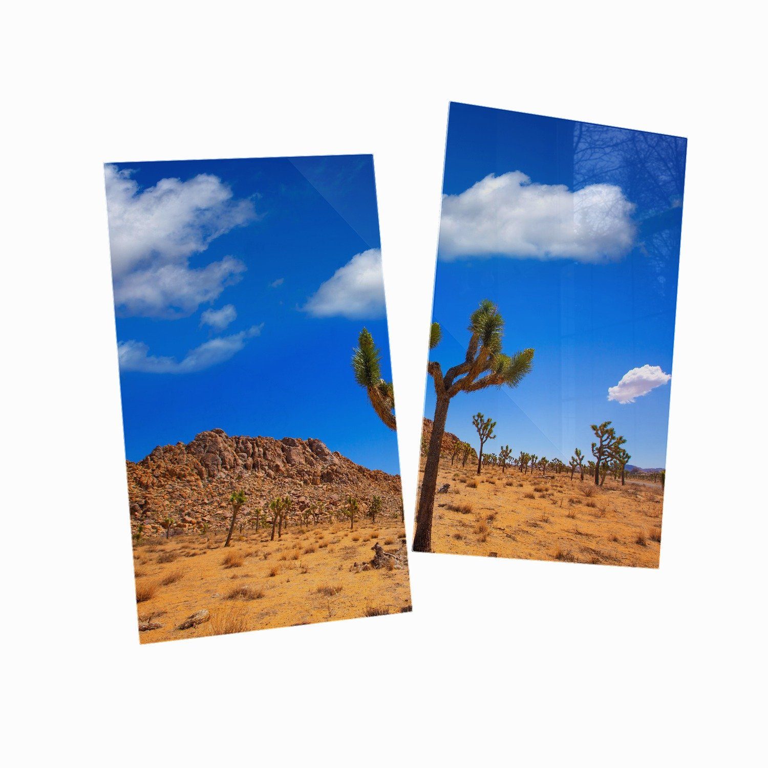  5mm Wallario Valley ESG-Sicherheitsglas, Palmlilie Größen (Glasplatte, tlg., verschiedene Noppen), Wüstenlandschaft, 2 Yucca Nationalpark inkl. Herd-Abdeckplatte im