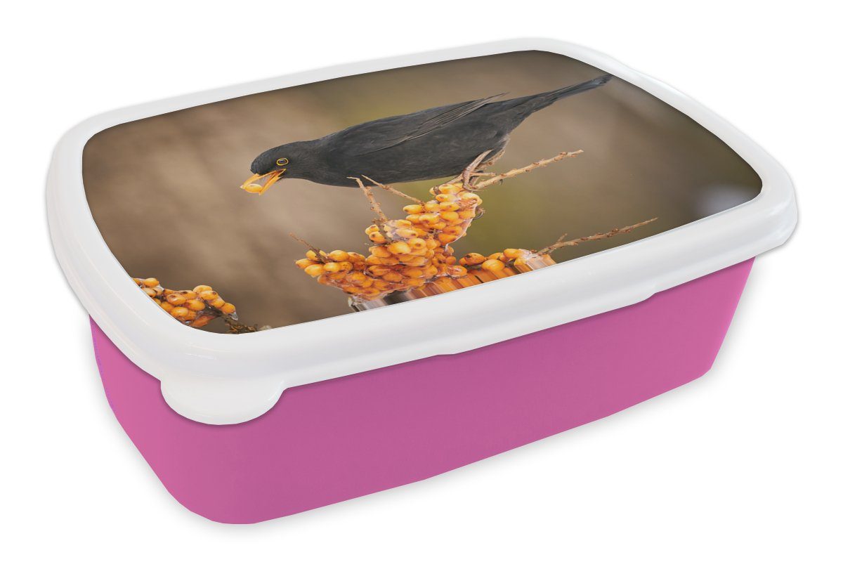 MuchoWow Lunchbox Vogel Erwachsene, (2-tlg), Brotbox Kinder, - rosa Eis Beere, Kunststoff, Mädchen, Amsel Winter Kunststoff - für - Brotdose Snackbox, 