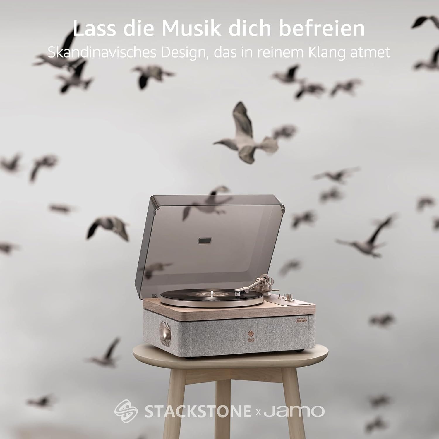 STACK STONE Vinyl Plattenspieler mit Lautsprecher,Schallplattenspieler Bluetooth Plattenspieler (WLAN, Bluetooth 5.3, AT-91R Magnetsystem)