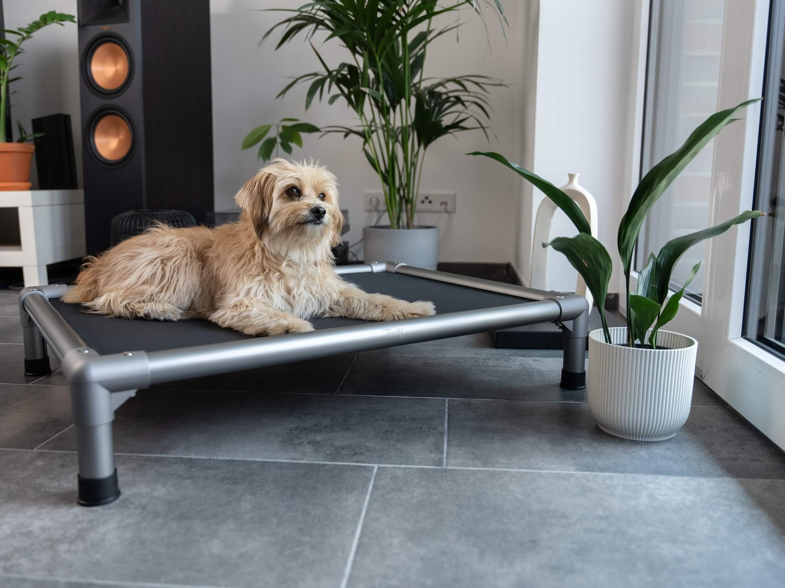 TrendPet Tierbett HighBed, erhöhtes Hundebett, Mesh, in verschiedenen Größen erhältlich