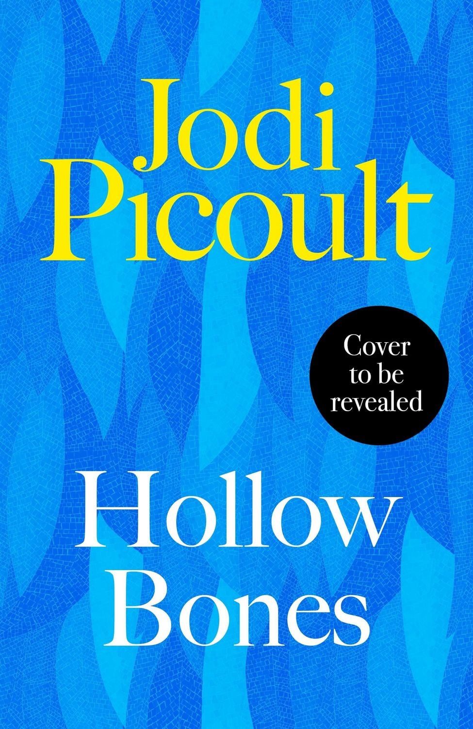 Hollow Bones / Jodi Picoult