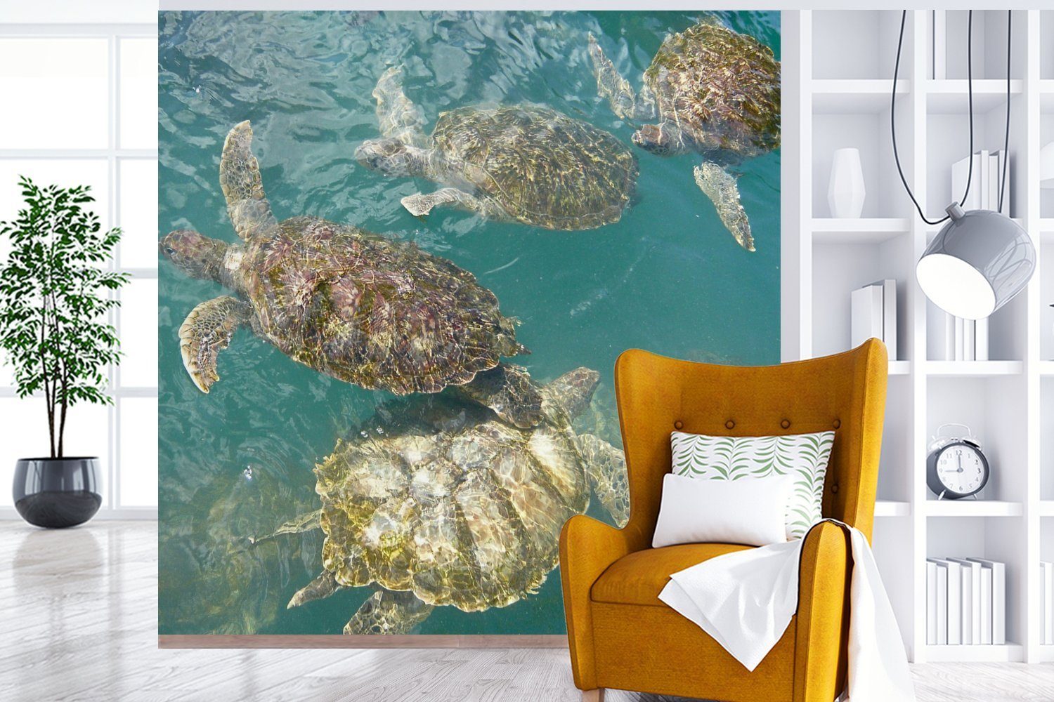 MuchoWow Fototapete Schildkröten Matt, blauen St), Wasser oder für bedruckt, gemeinsam Wohnzimmer Vinyl Schlafzimmer, Wandtapete Grand, (5 vor im Tapete klaren schwimmen