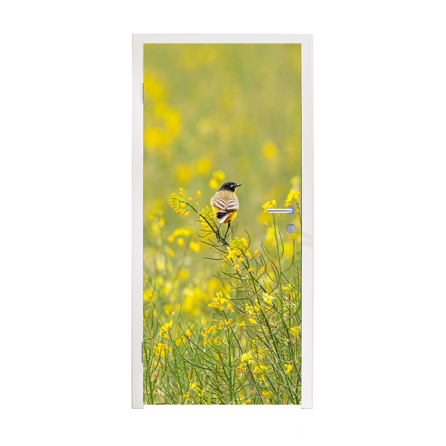 MuchoWow Türtapete Vogel - Blumen - Gelb, Matt, bedruckt, (1 St), Fototapete für Tür, Türaufkleber, 75x205 cm