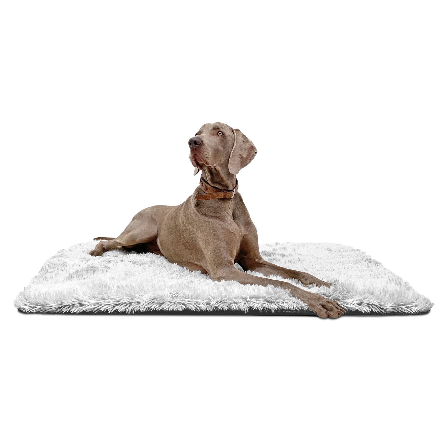 tierlando® Tierdecke Hundeliegedecke SHARY kuscheliger Zottelplüsch flauschiger Langfloor
