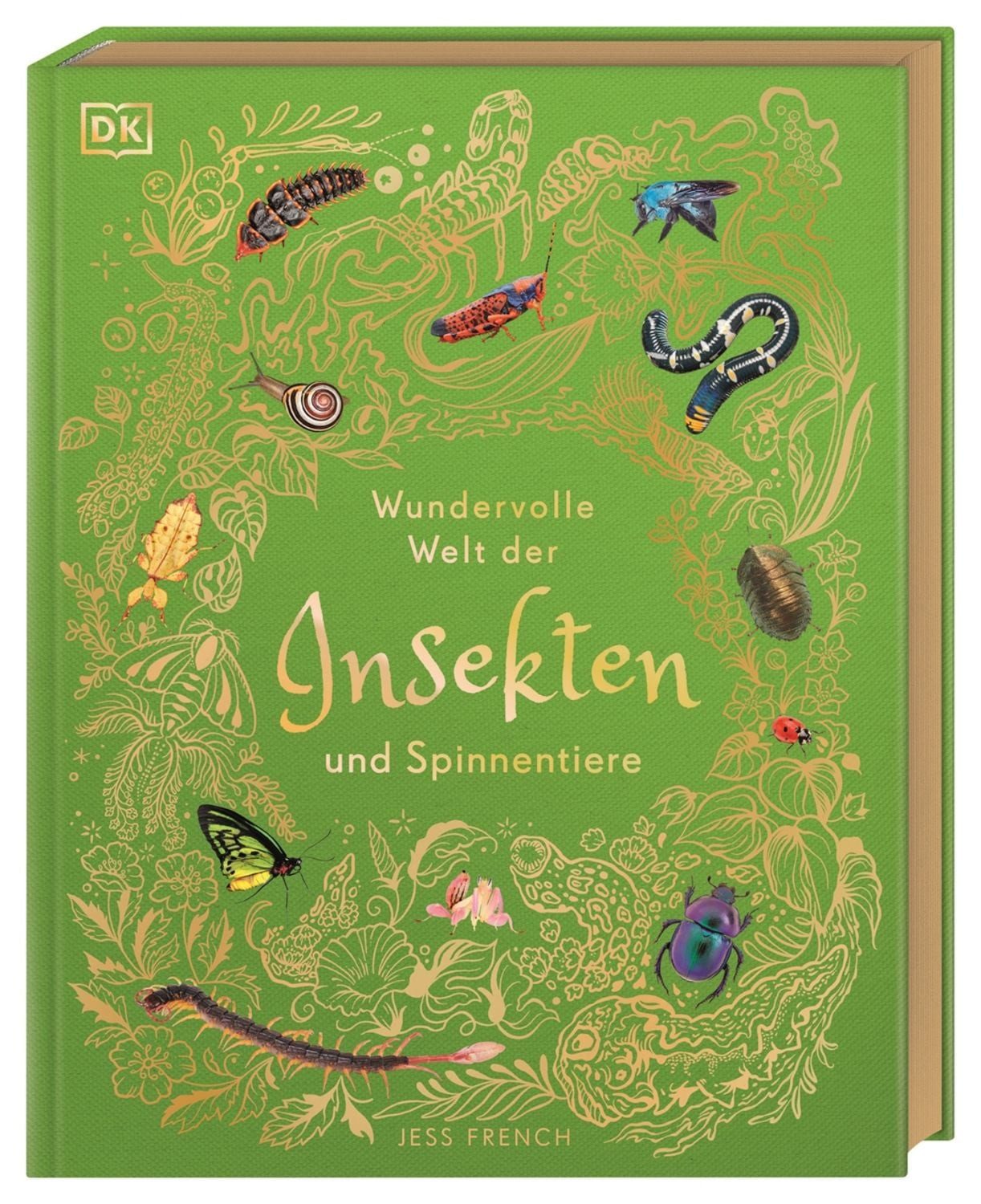 Wundervolle Welt der Insekten und Spinnentiere / Jess French