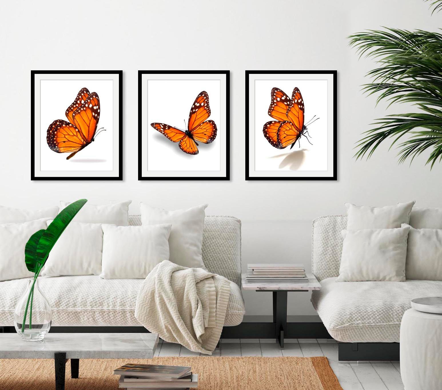 queence Bild Eazy, (1 St) Schmetterlinge