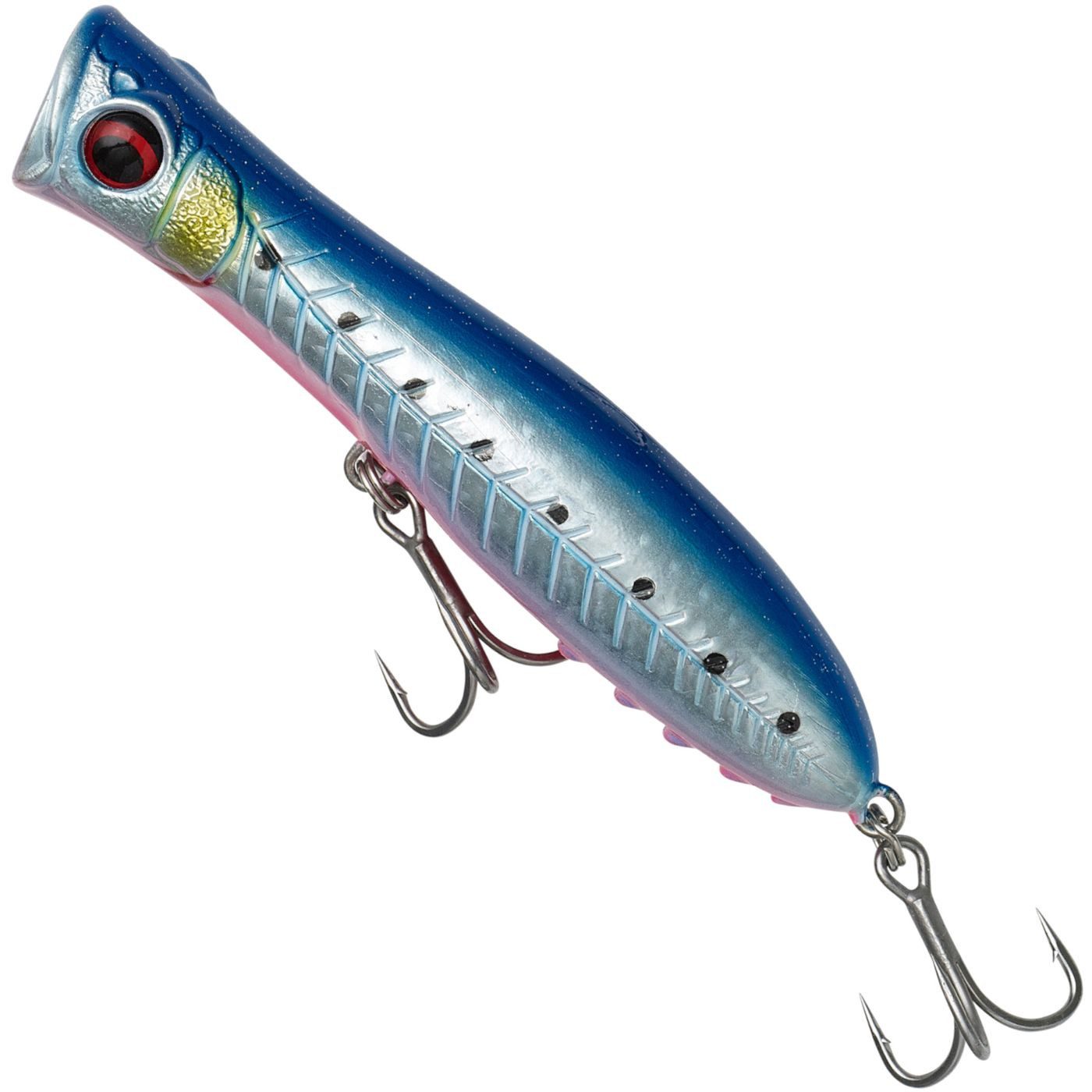 Pink Belly Sardine