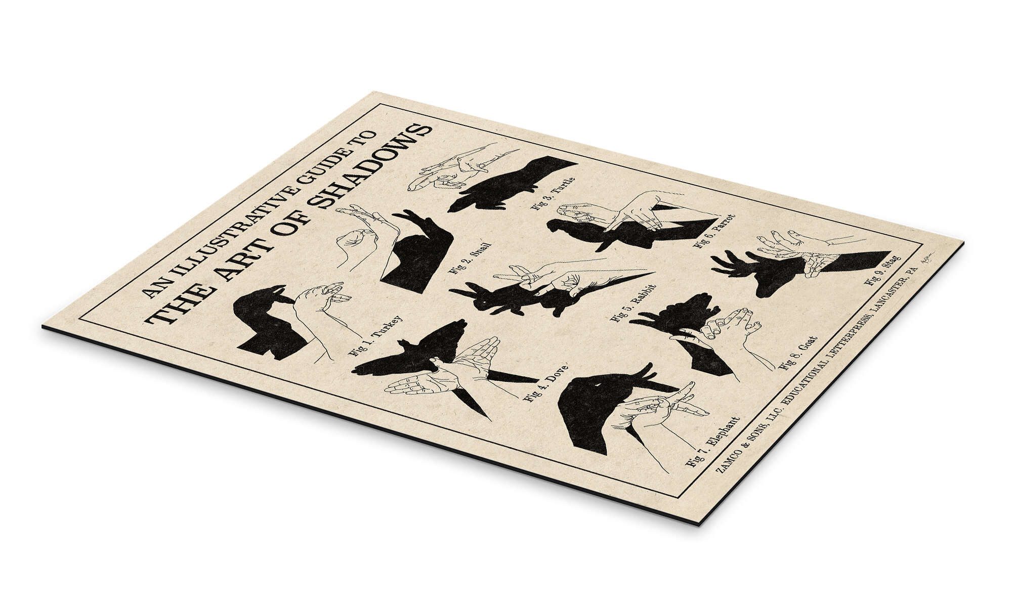 Posterlounge Wandbild Die Kunst der Schattenspiele günstig online kaufen