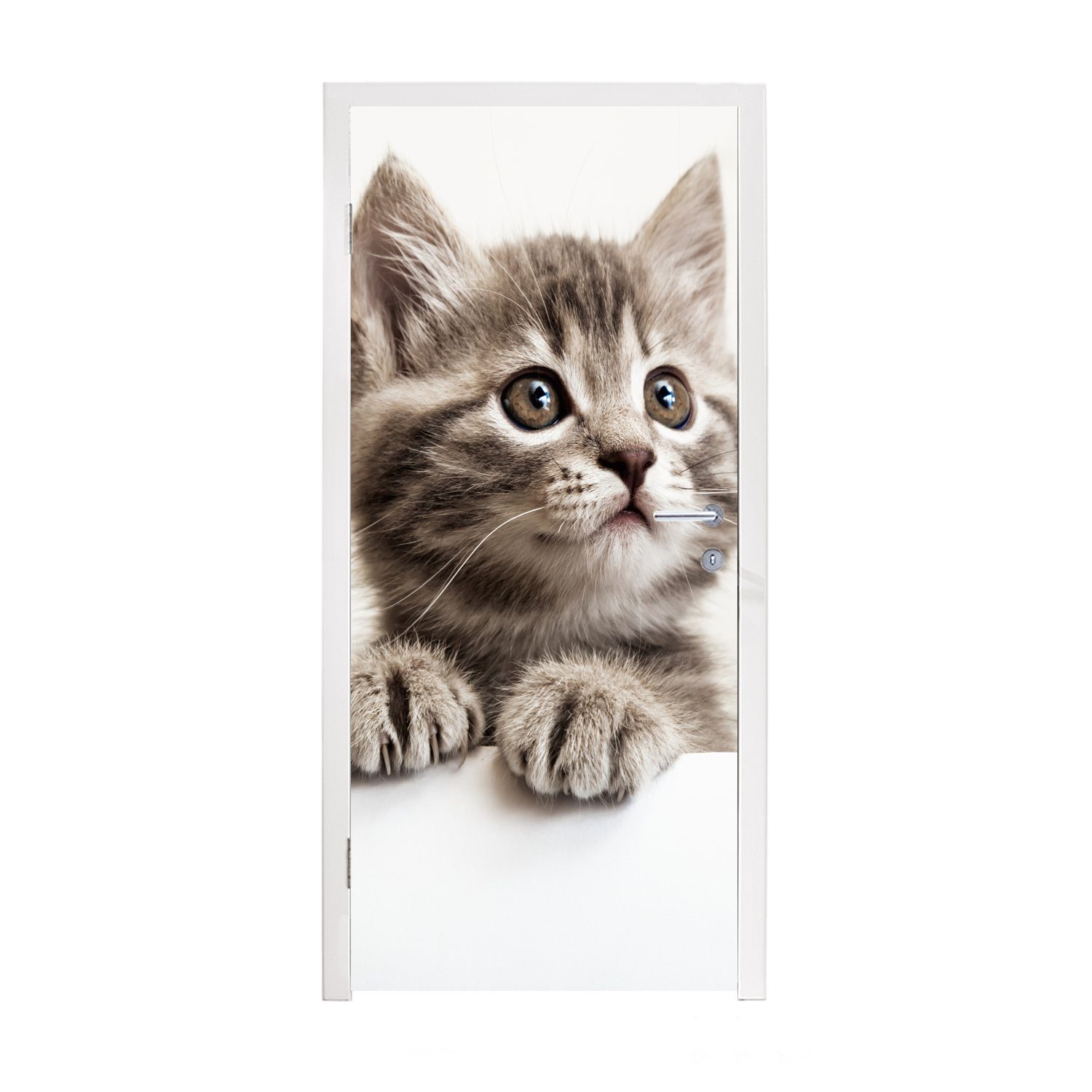 Günstiger Verkauf MuchoWow Türtapete Katze - Matt, cm Fototapete Tür, (1 St), bedruckt, Türaufkleber, 75x205 für Grau Tiere, 