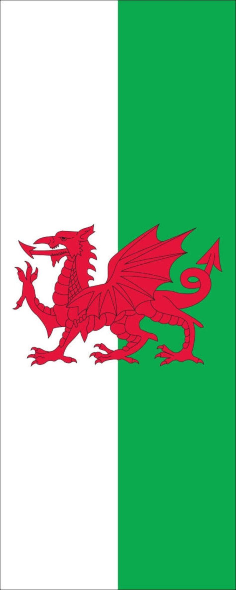 flaggenmeer Flagge Flagge Wales 110 g/m² Hochformat
