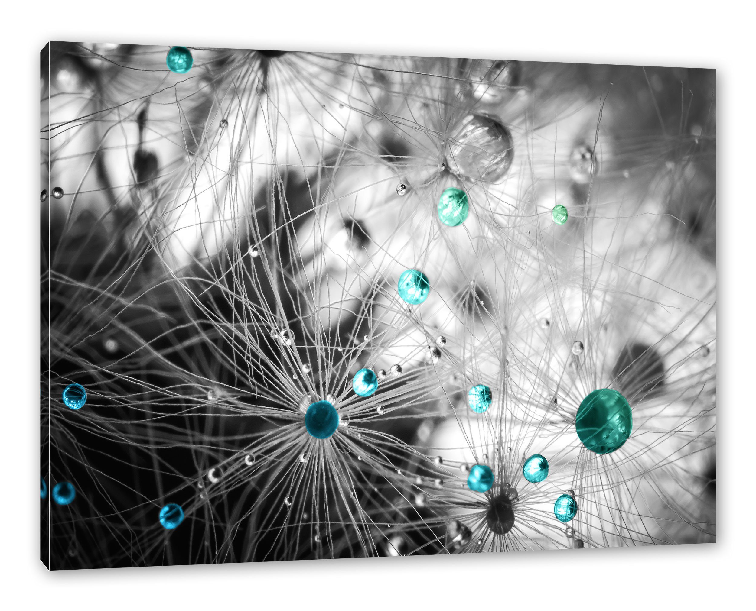 Pixxprint Leinwandbild Wassertropfen auf Pusteblume, Wassertropfen auf Pusteblume (1 St), Leinwandbild fertig bespannt, inkl. Zackenaufhänger | Leinwandbilder