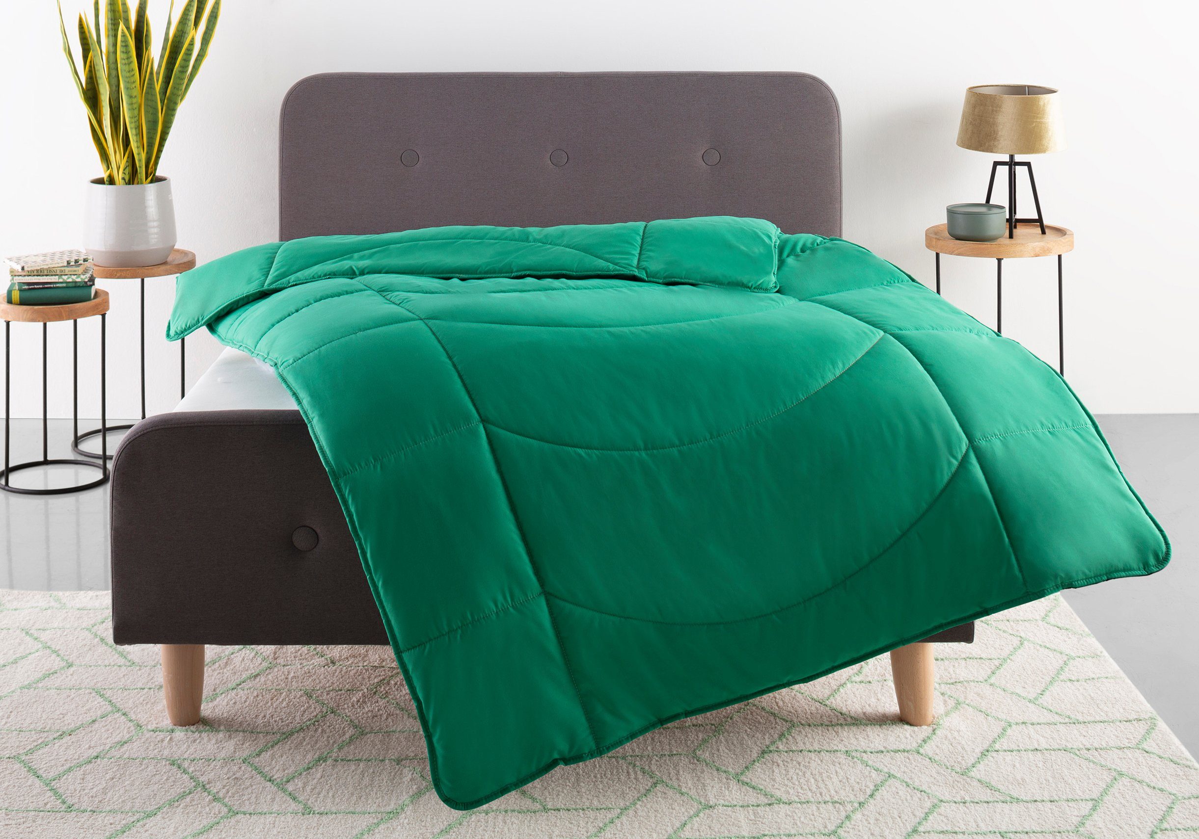 my home Microfaserbettdecke Microlux, Bettdecke 135x200 günstig online kaufen