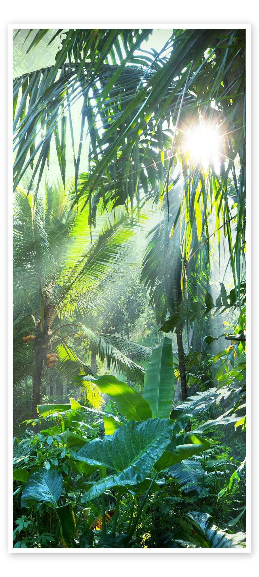 Posterlounge Wandbild Sonnenstrahlen im Dschungel, Editors Choice