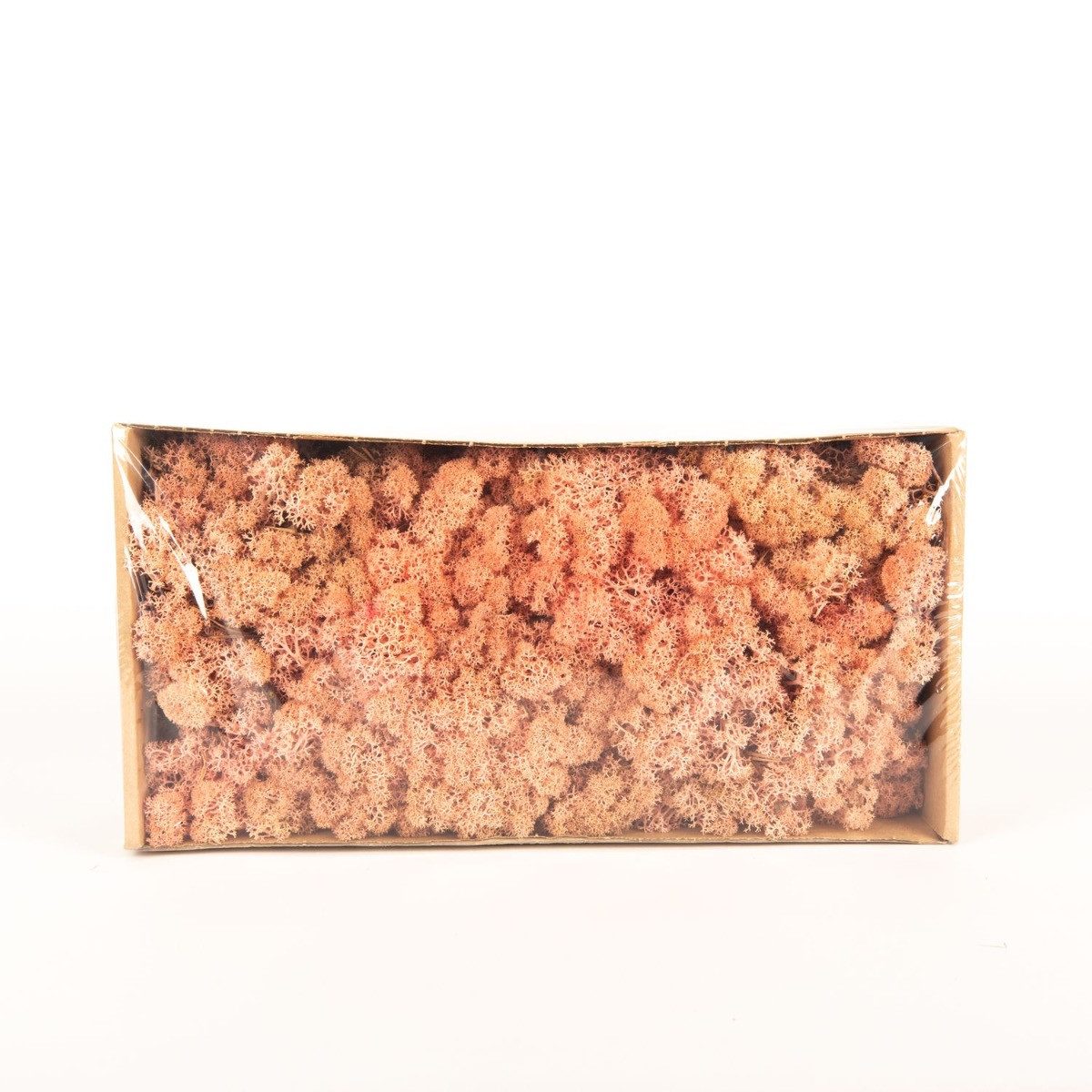 INNA-Glas Moos Dekoratives Moos SVEINBJÖRN, rosa, 500g