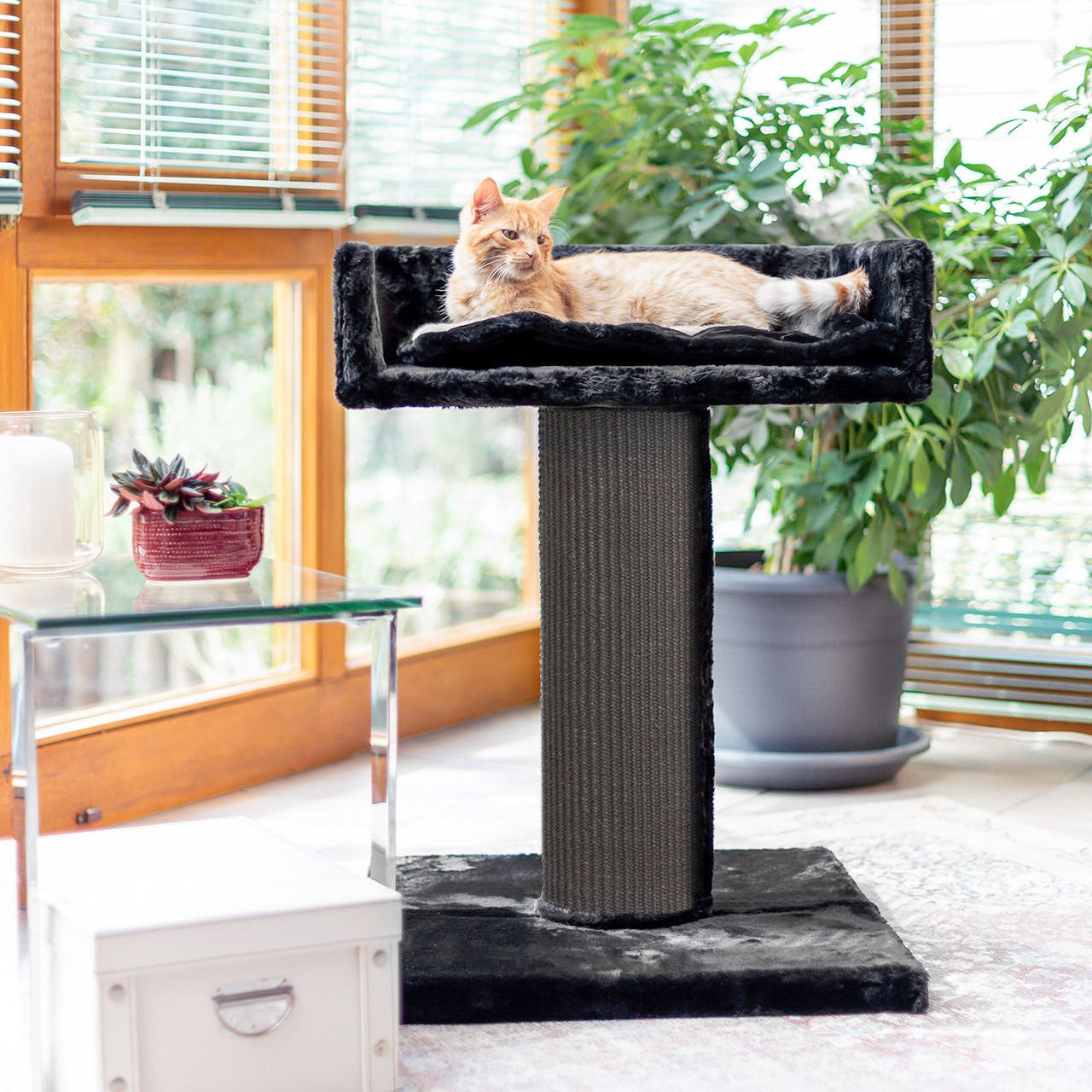 Canadian Cat Company Kratzbaum Residenz XXL - schwarz, XXL Katzenliege - Kratzbaum, 19cm Sisalsäule für große Katzen