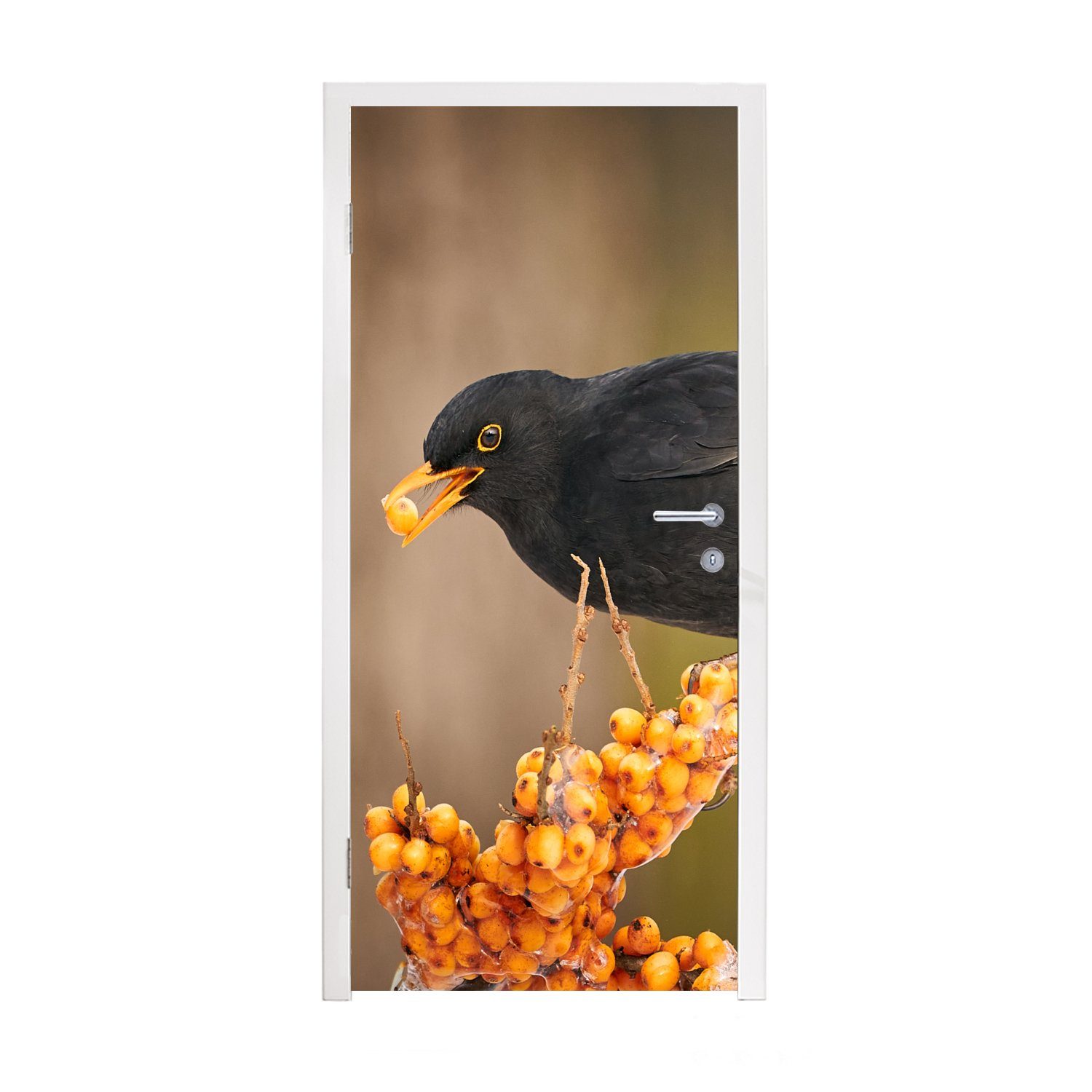 MuchoWow Türtapete Vogel - Amsel - Winter - Eis - Beere, Matt, bedruckt, (1 St), Fototapete für Tür, Türaufkleber, 75x205 cm