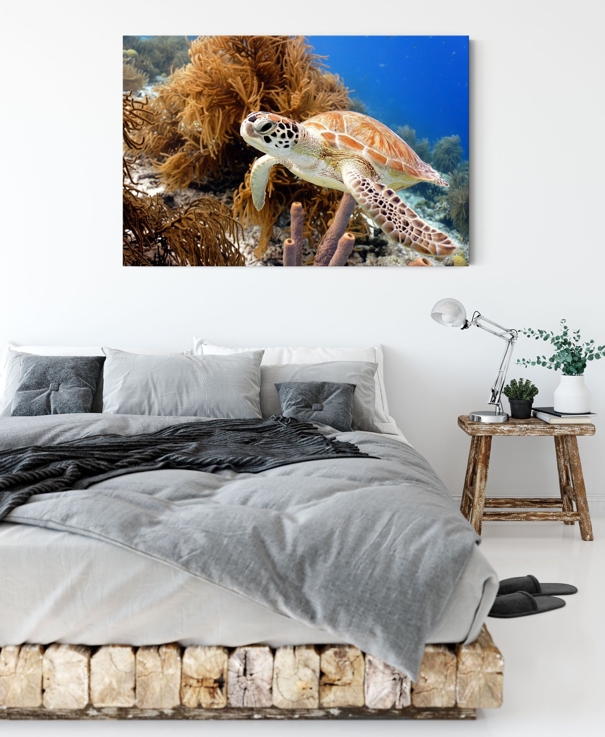(1 St), Leinwandbild inkl. fertig Zackenaufhänger Leinwandbild Meeresschildkröte Pixxprint Meeresschildkröte, bespannt,