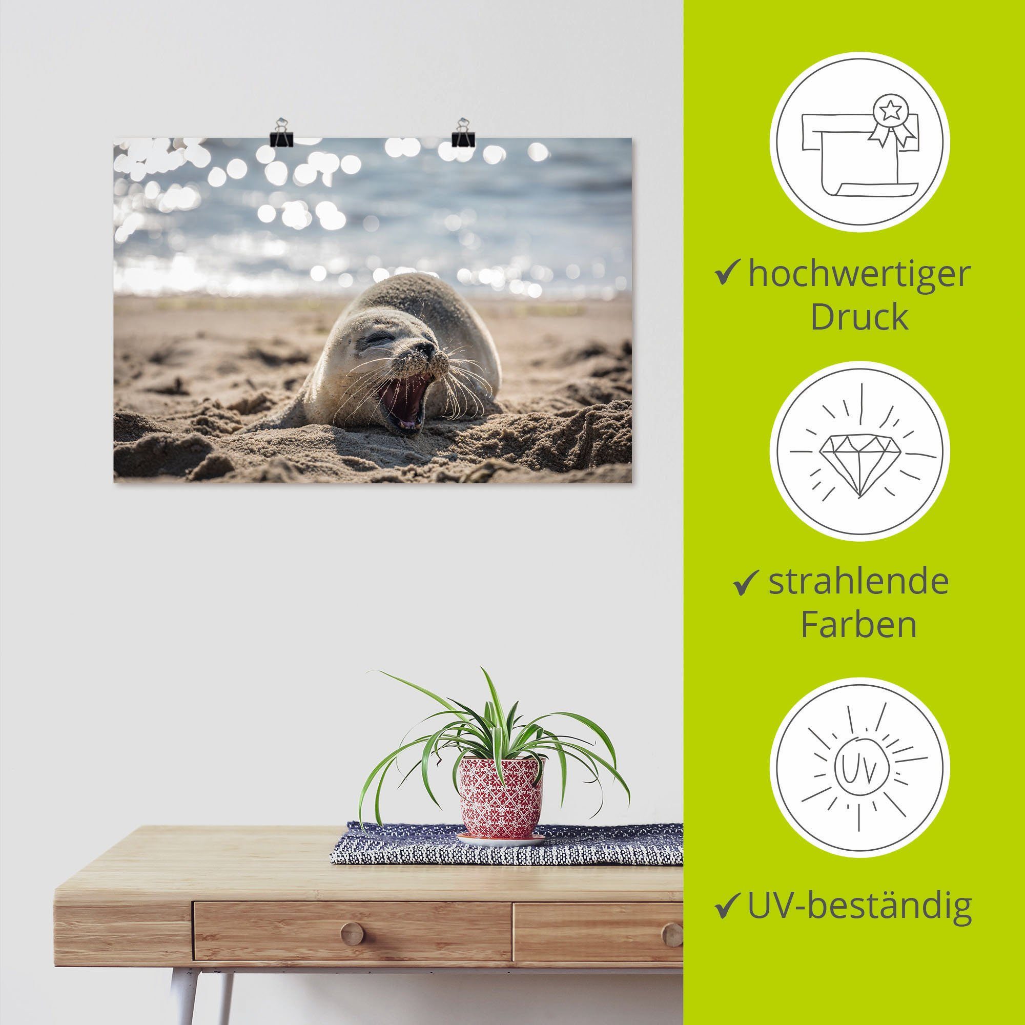 am Strand Artland Wandbild in oder Leinwandbild, Robben Wandaufkleber Größen Baby-Robbe List, (1 Sylt, von St), Alubild, versch. Poster als