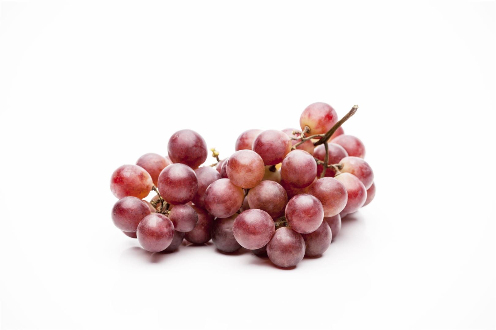 Pflanzen für Dich Obstpflanze Vitis vinifera Vanessa, 1 St., Tafeltraube, Weinrebe, kernlos, süßaromatisch
