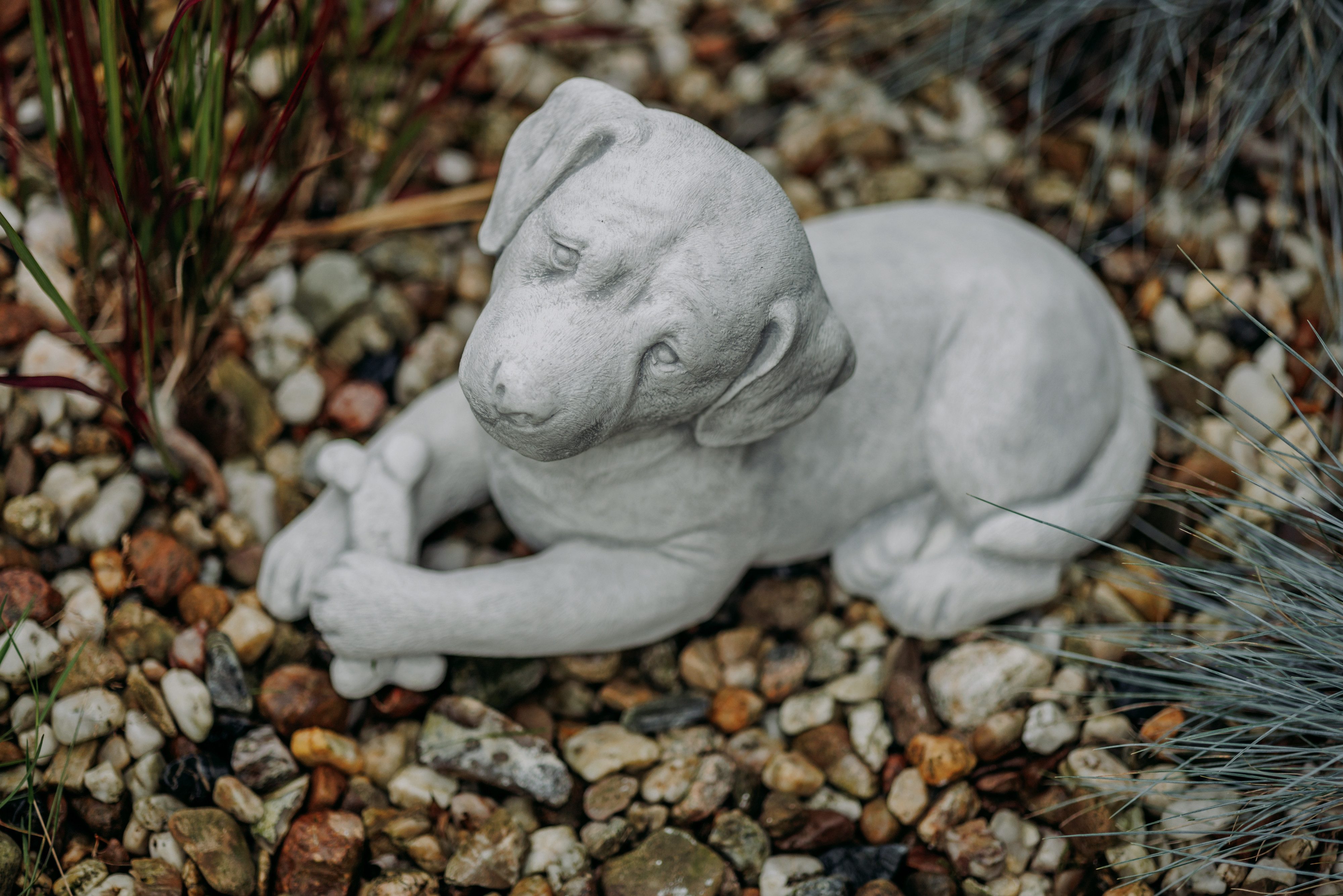 gartendekoparadies.de Gartenfigur Hund Labrador Statue, Steinfigur, günstig online kaufen