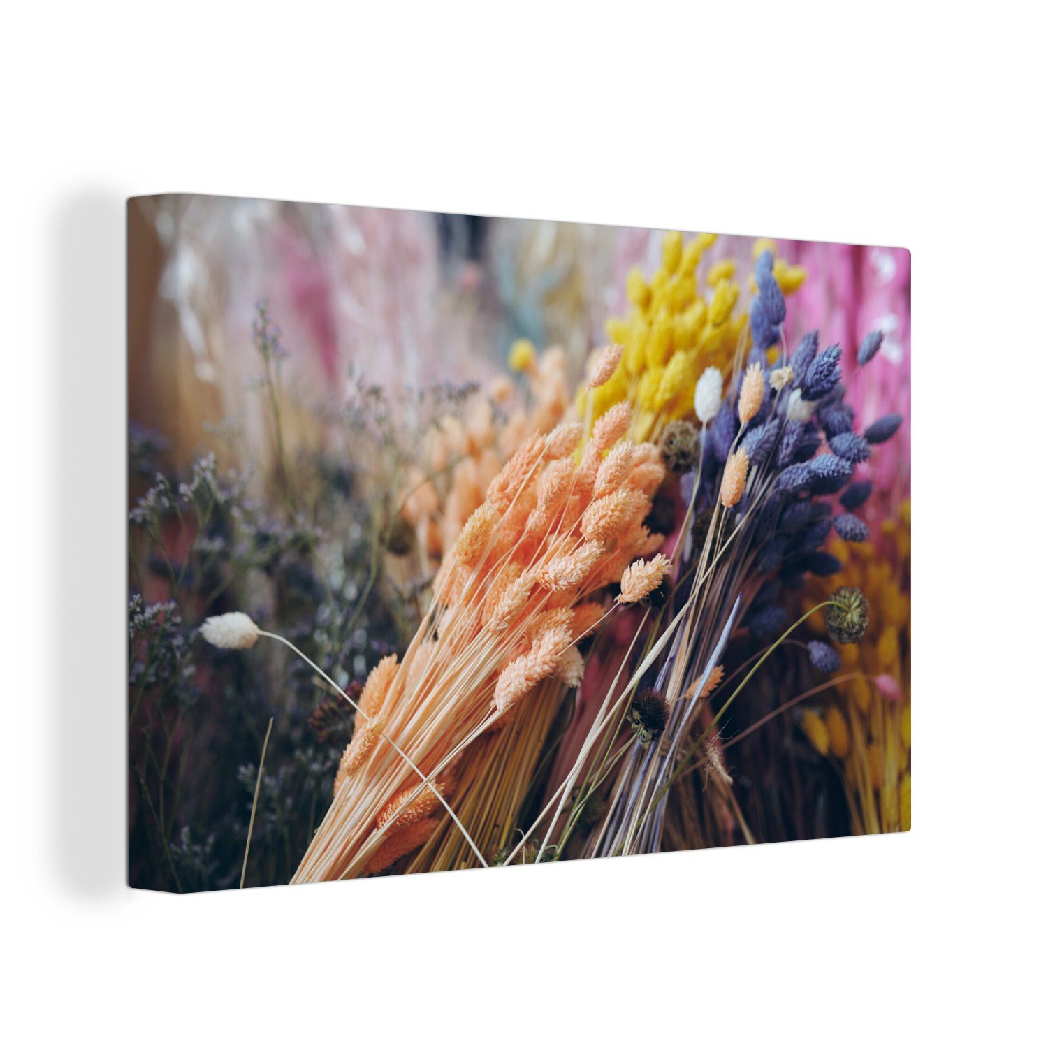 OneMillionCanvasses® Leinwandbild Getrocknete Blumen - Farben - Stilleben, (1 St), Wandbild Leinwandbilder, Aufhängefertig, Wanddeko, 30x20 cm