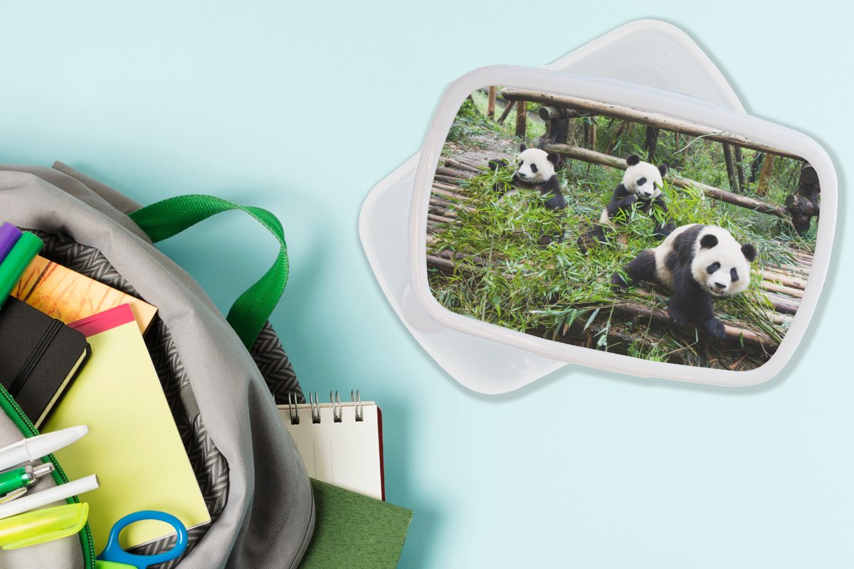 MuchoWow Lunchbox Erwachsene, und Jungs Blätter, und Brotdose, für Kunststoff, - für Pandas Bambus Mädchen Brotbox Kinder (2-tlg), weiß 