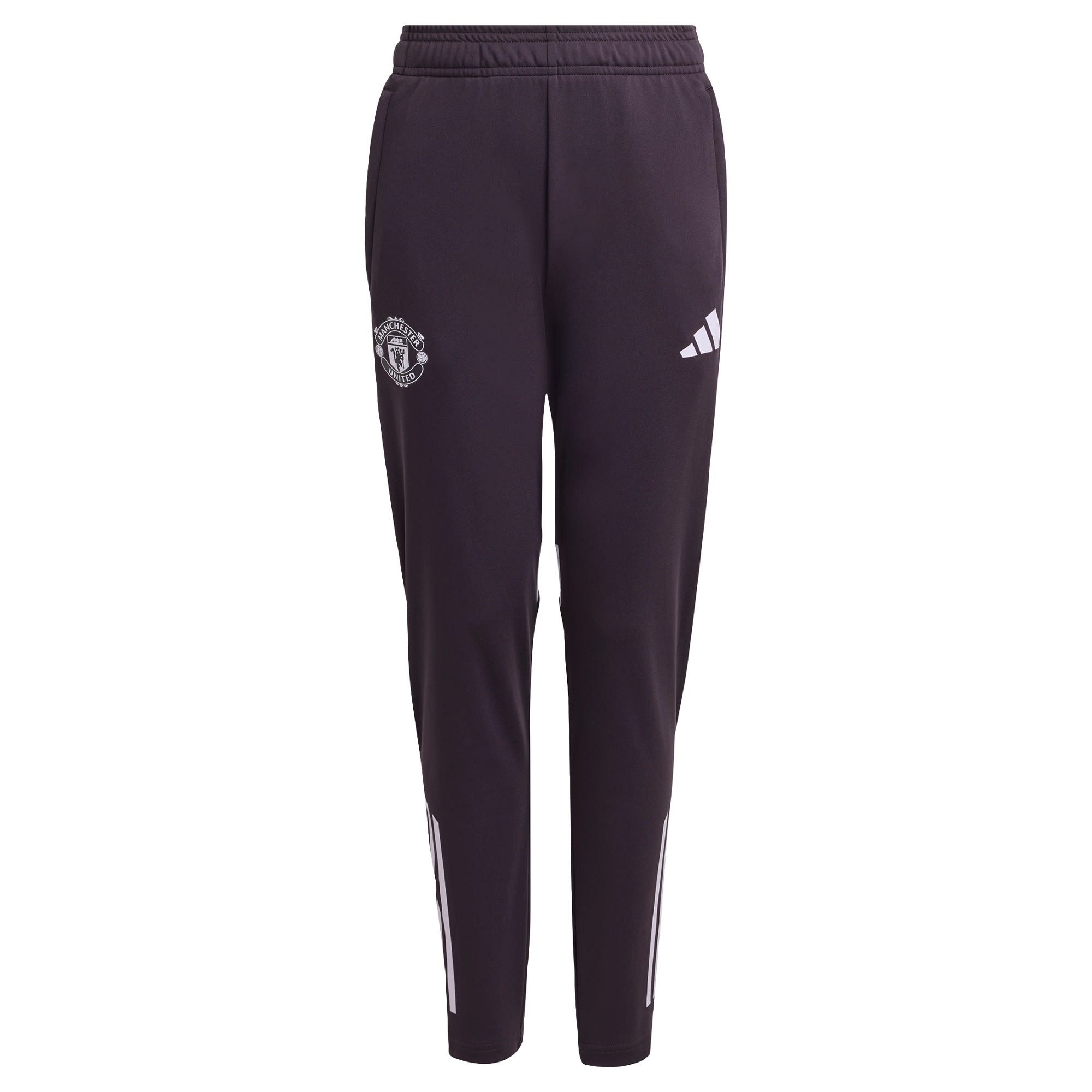 Aurora Black / Purple Tint