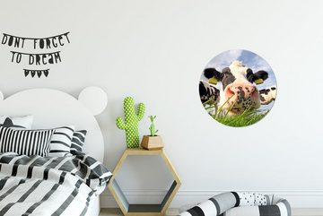 MuchoWow Wandsticker Kuh - Bauernhof - Gras - Tiere (1 St), Tapetenkreis für Kinderzimmer, Tapetenaufkleber, Rund, Wohnzimmer
