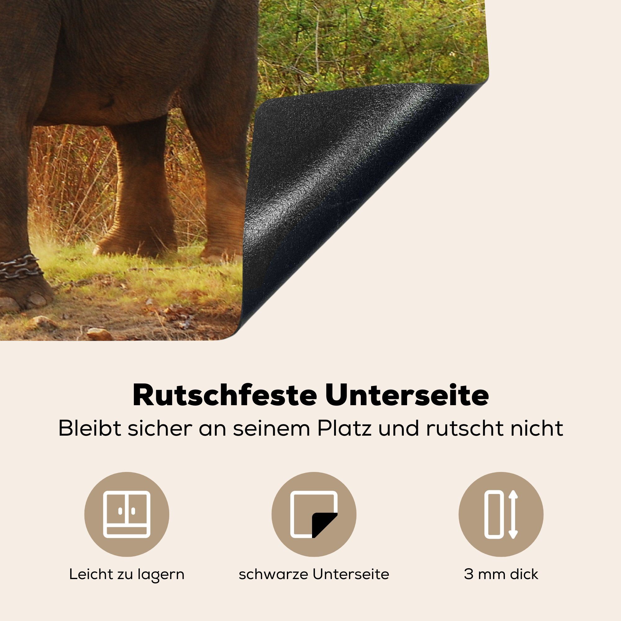 die Schutz Wald küche, 81x52 MuchoWow Vinyl, cm, Tiere Herdblende-/Abdeckplatte - Induktionskochfeld Bäume, tlg), - Elefant - (1 für Ceranfeldabdeckung