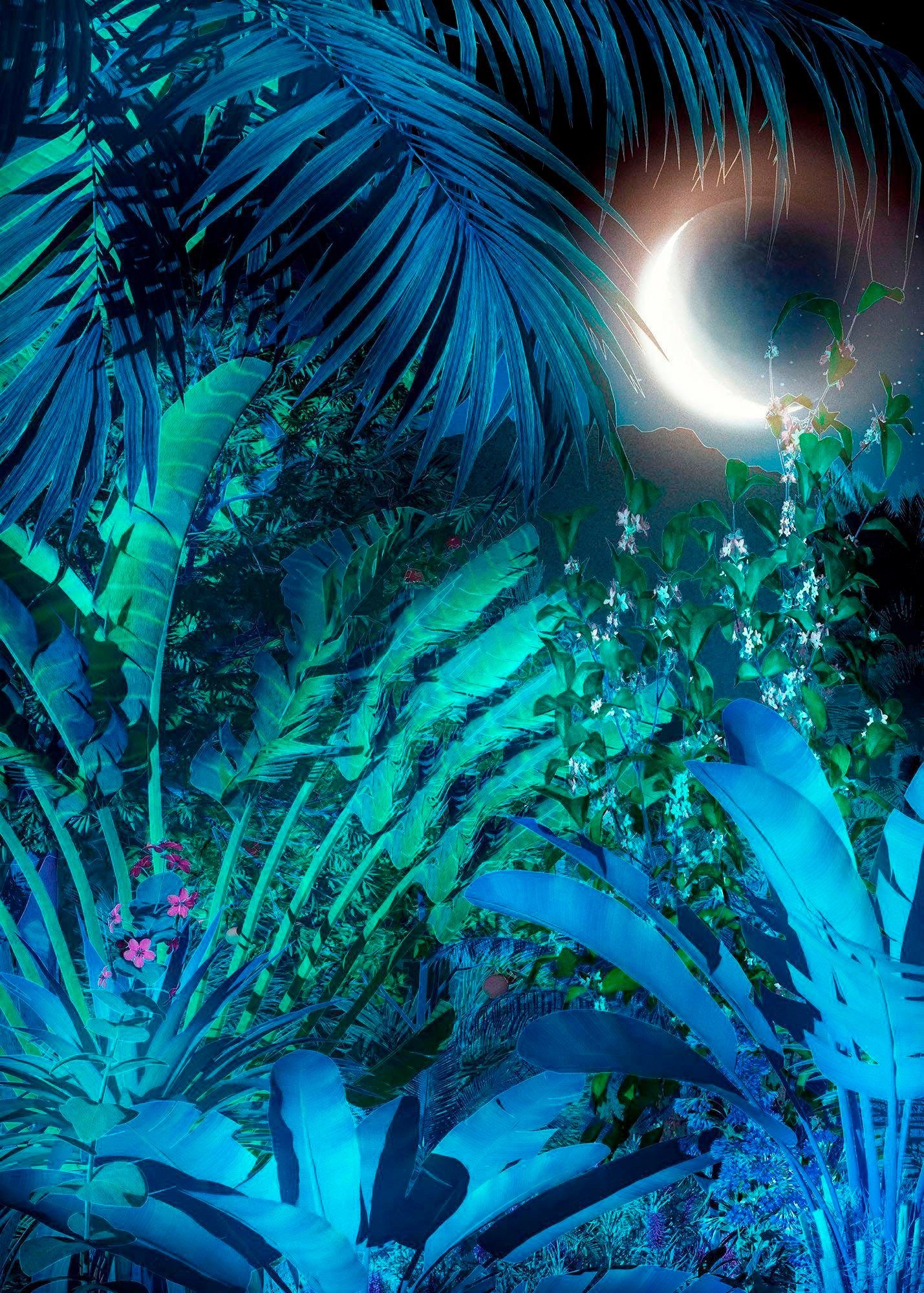 Komar Vliestapete Digitaldruck Vlies - Intense - Größe 200 x 280 cm, glatt, bedruckt, Wohnzimmer, Schlafzimmer