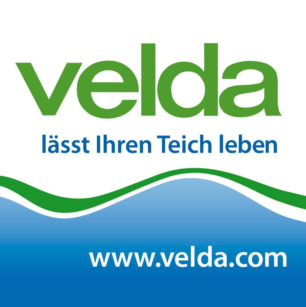 Velda