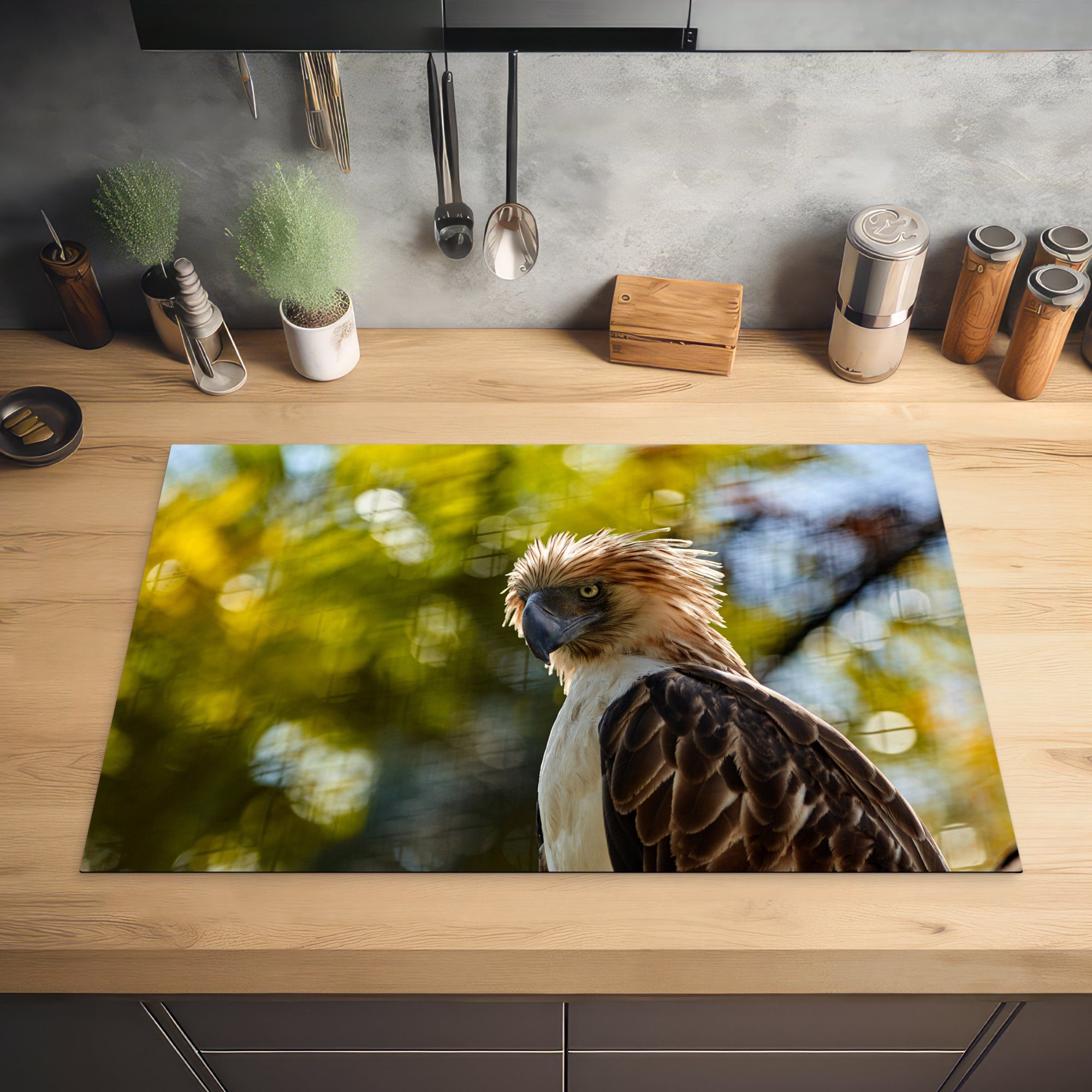 MuchoWow Herdblende-/Abdeckplatte Philippinischer Affenadler bei die 81x52 tlg), Sonnenaufgang, Vinyl, (1 für Induktionskochfeld Ceranfeldabdeckung küche, cm, Schutz