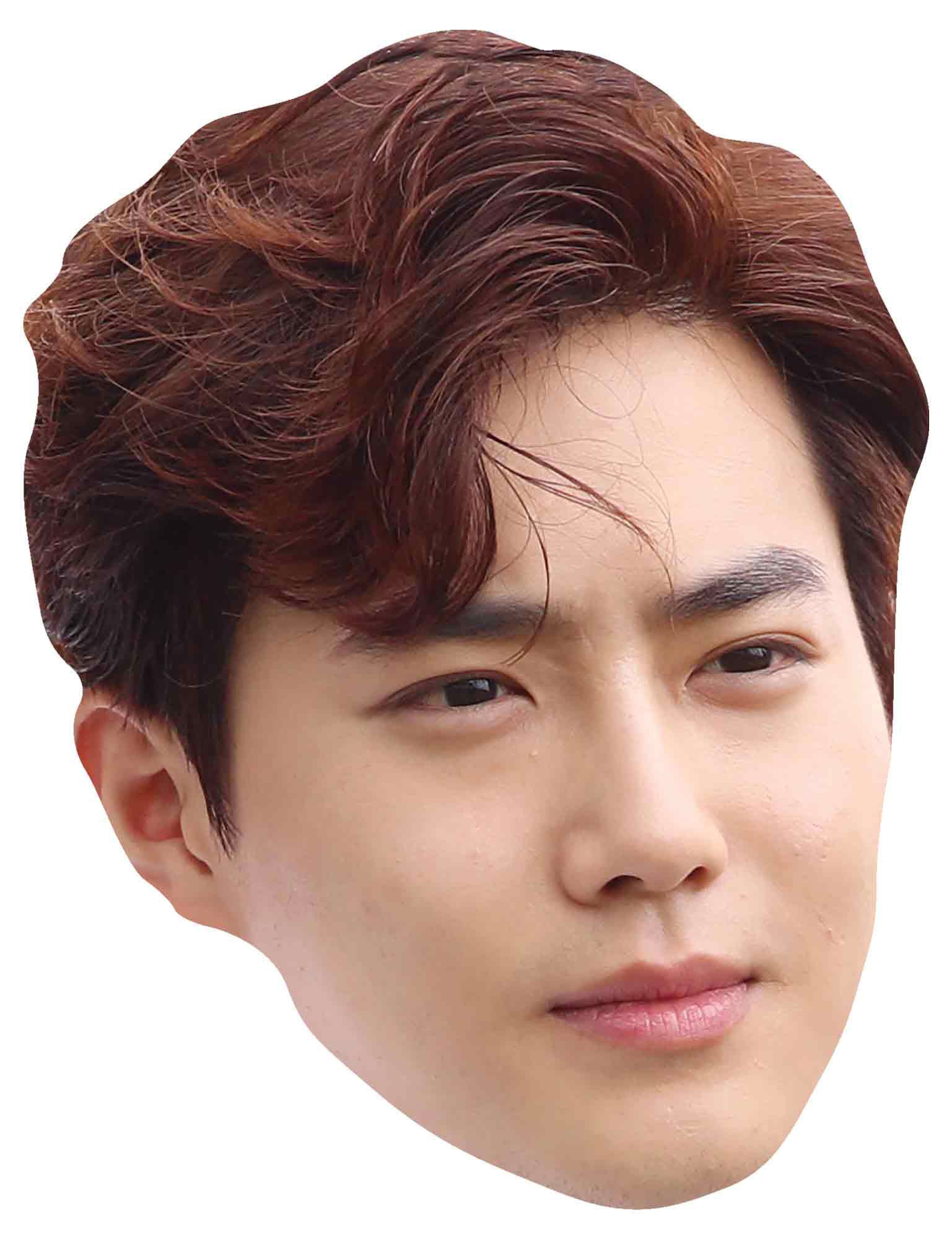 Verkleidungsmaske Exo - Маски - Suho - Maske